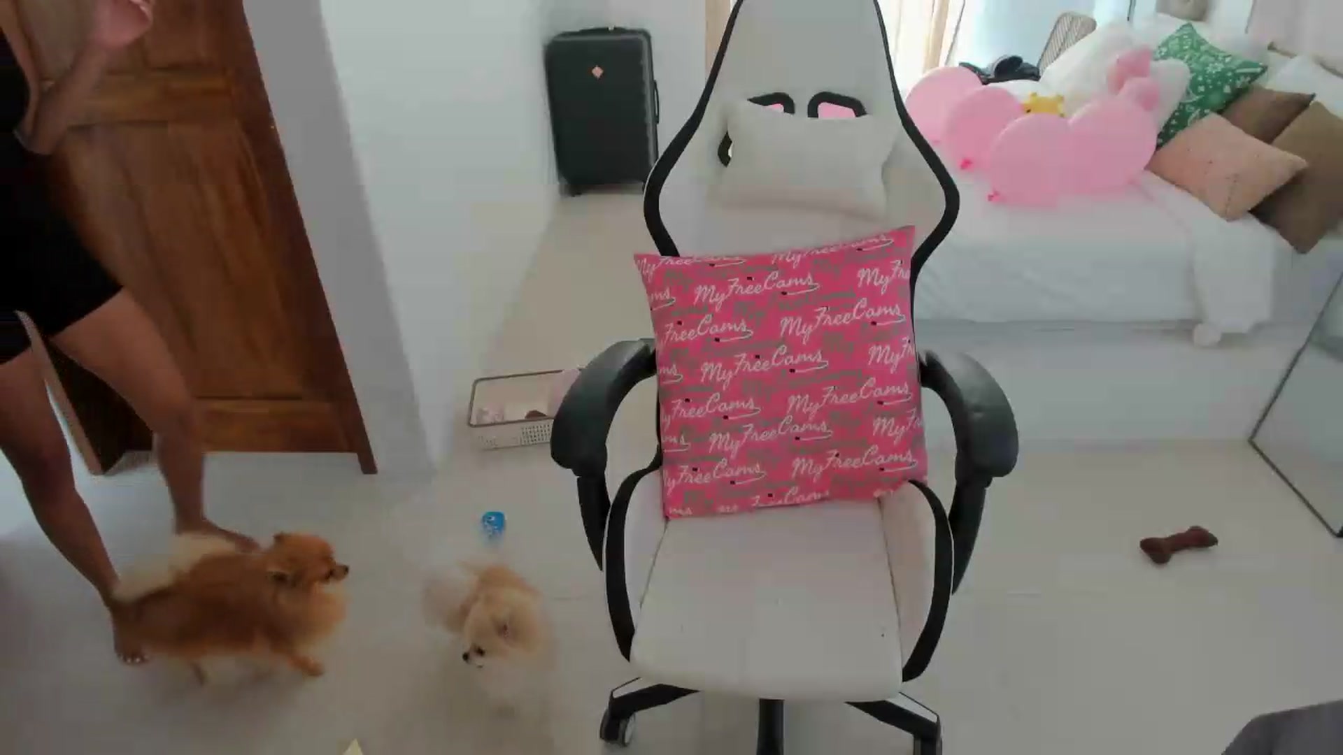 Gallery image thumbnail from CallMe_PJ's myfreecams stream on, 05/05/2026, 05:25 image 10 of 20