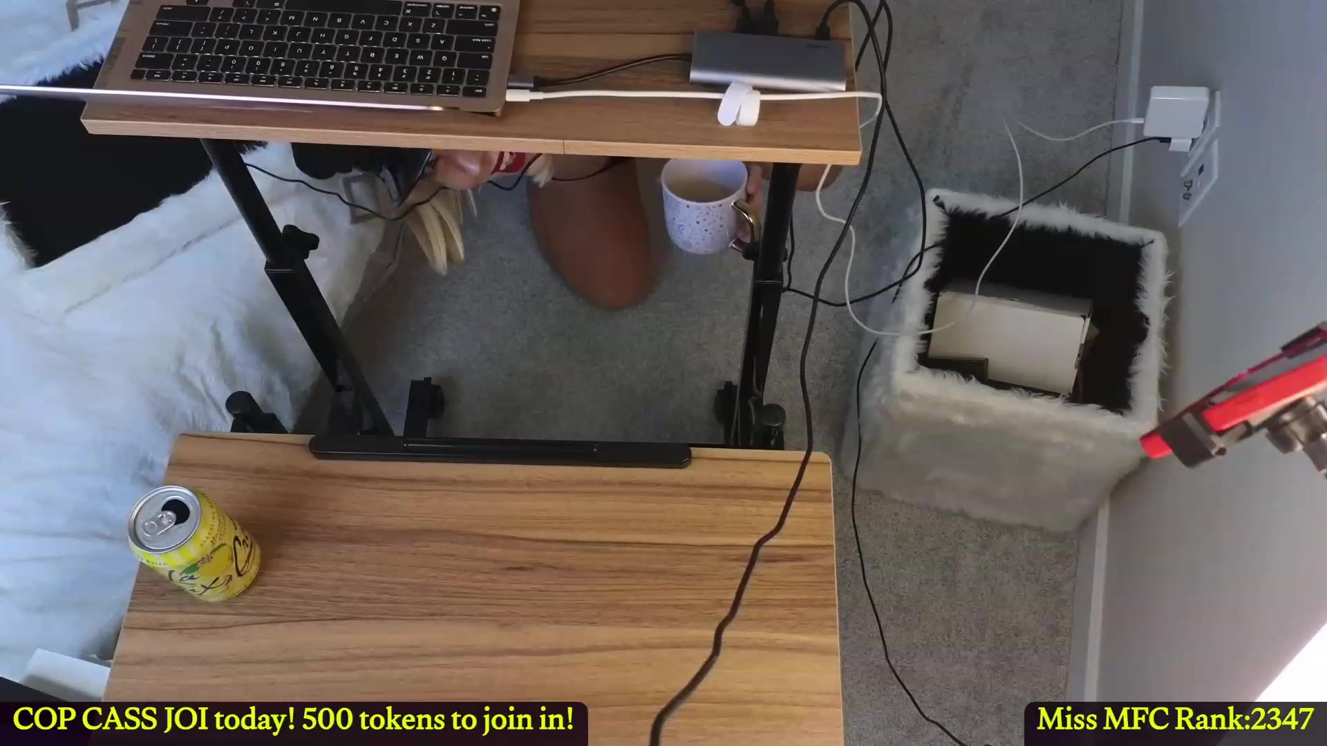 Gallery image thumbnail from CamgirlCASS's myfreecams stream on, 11/19/2023, 16:19 image 9 of 20