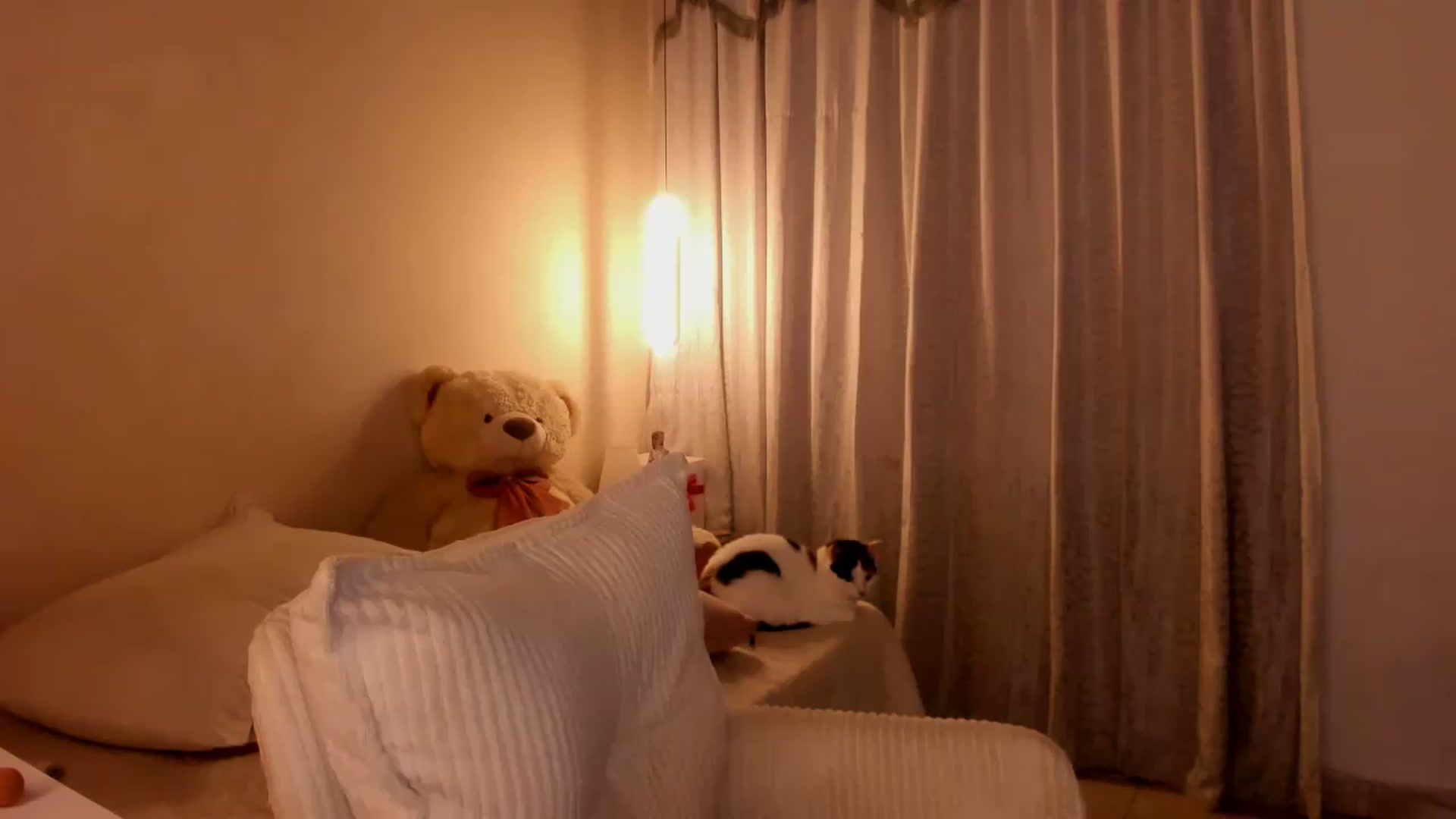 Gallery image thumbnail from CamiiHerrera's myfreecams stream on, 05/20/2026, 09:49 image 10 of 20