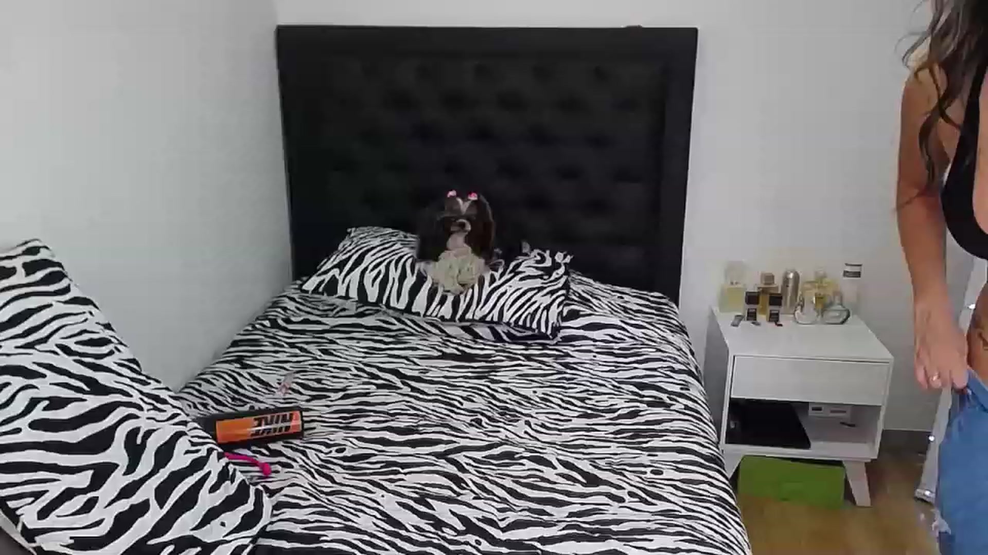 Gallery image thumbnail from CamilaGoldenn's myfreecams stream on, 12/24/2022, 18:54 image 7 of 20