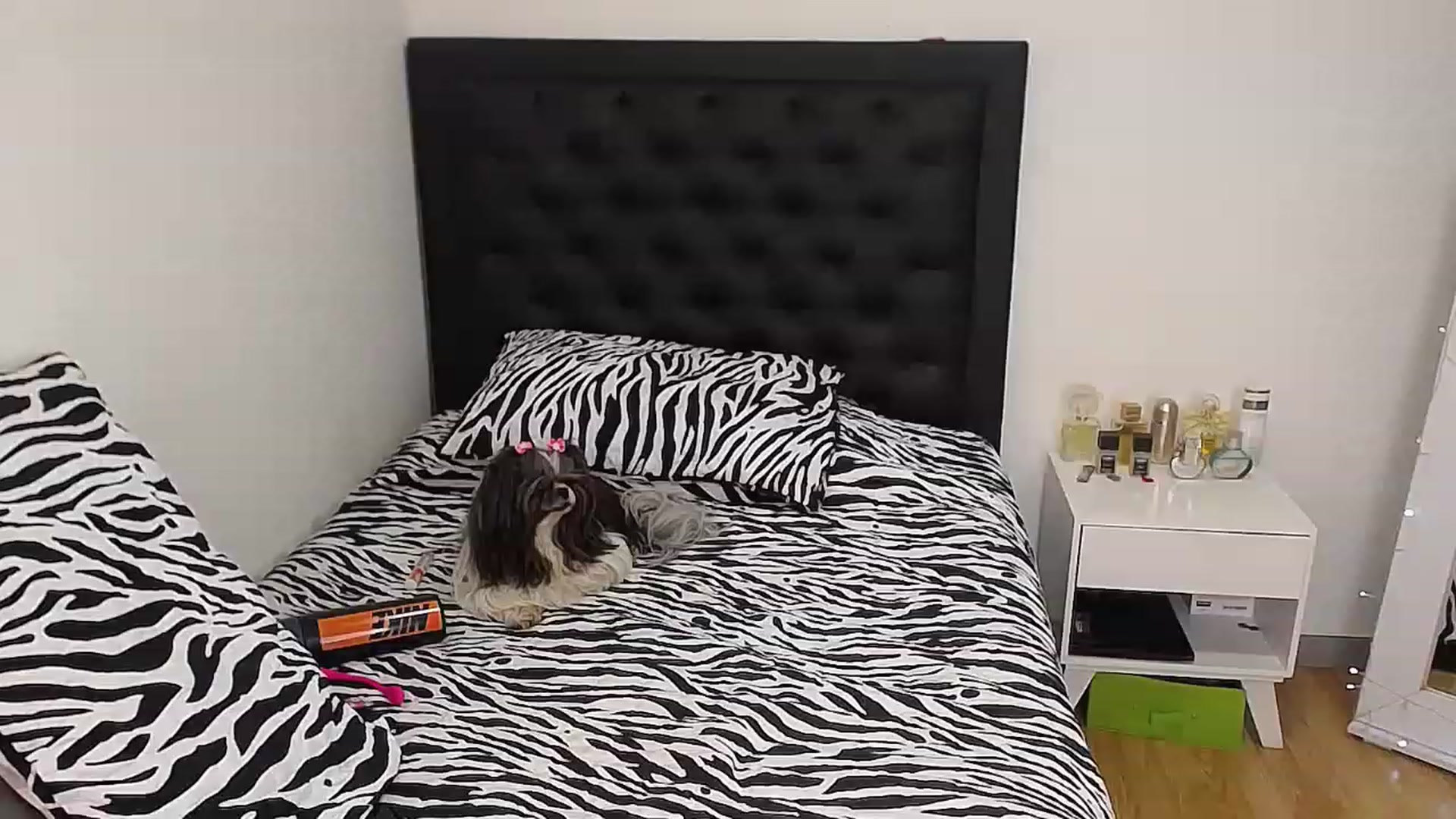 Gallery image thumbnail from CamilaGoldenn's myfreecams stream on, 12/24/2022, 18:54 image 18 of 20