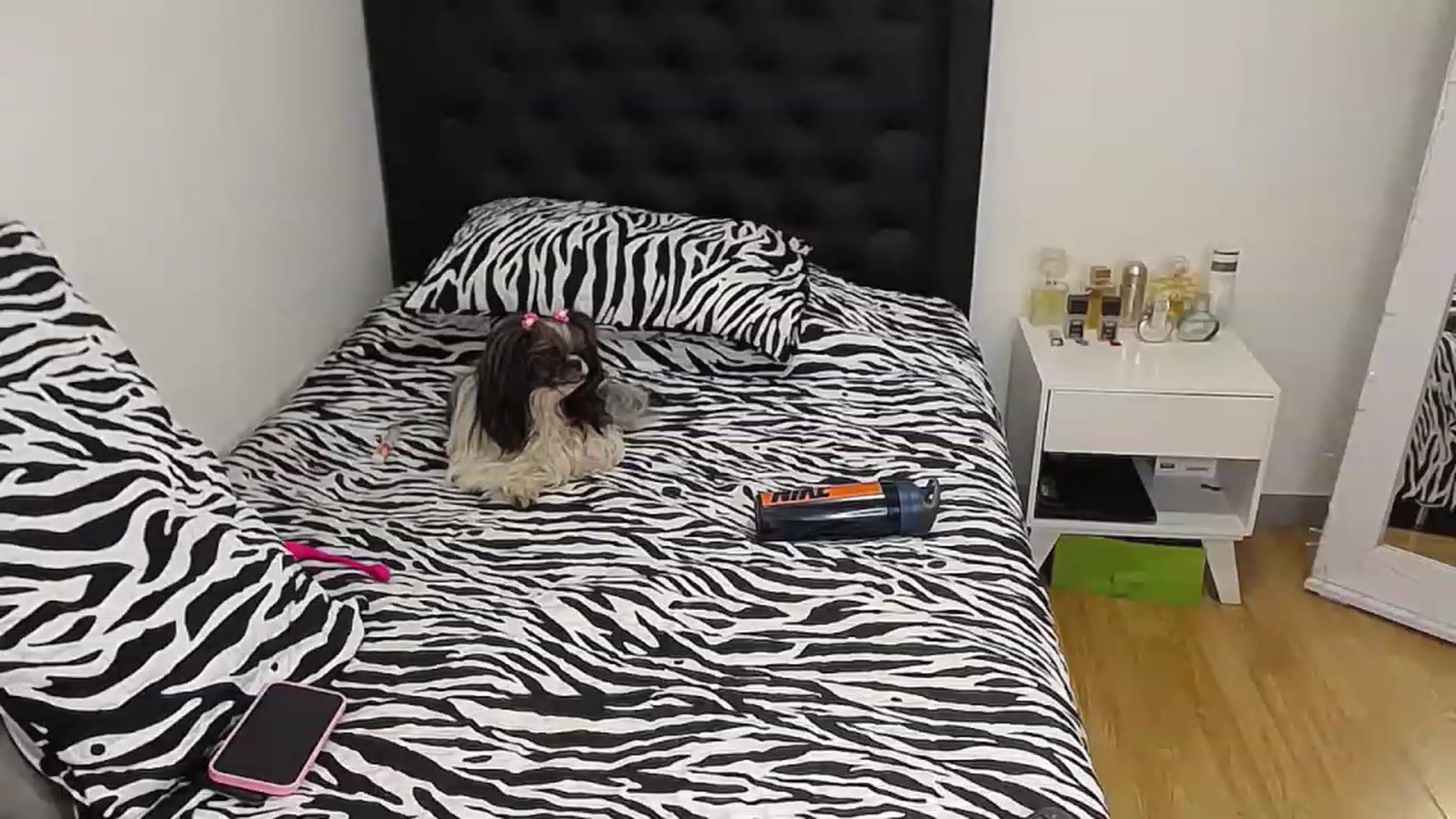 Gallery image thumbnail from CamilaGoldenn's myfreecams stream on, 12/24/2022, 21:38 image 20 of 20