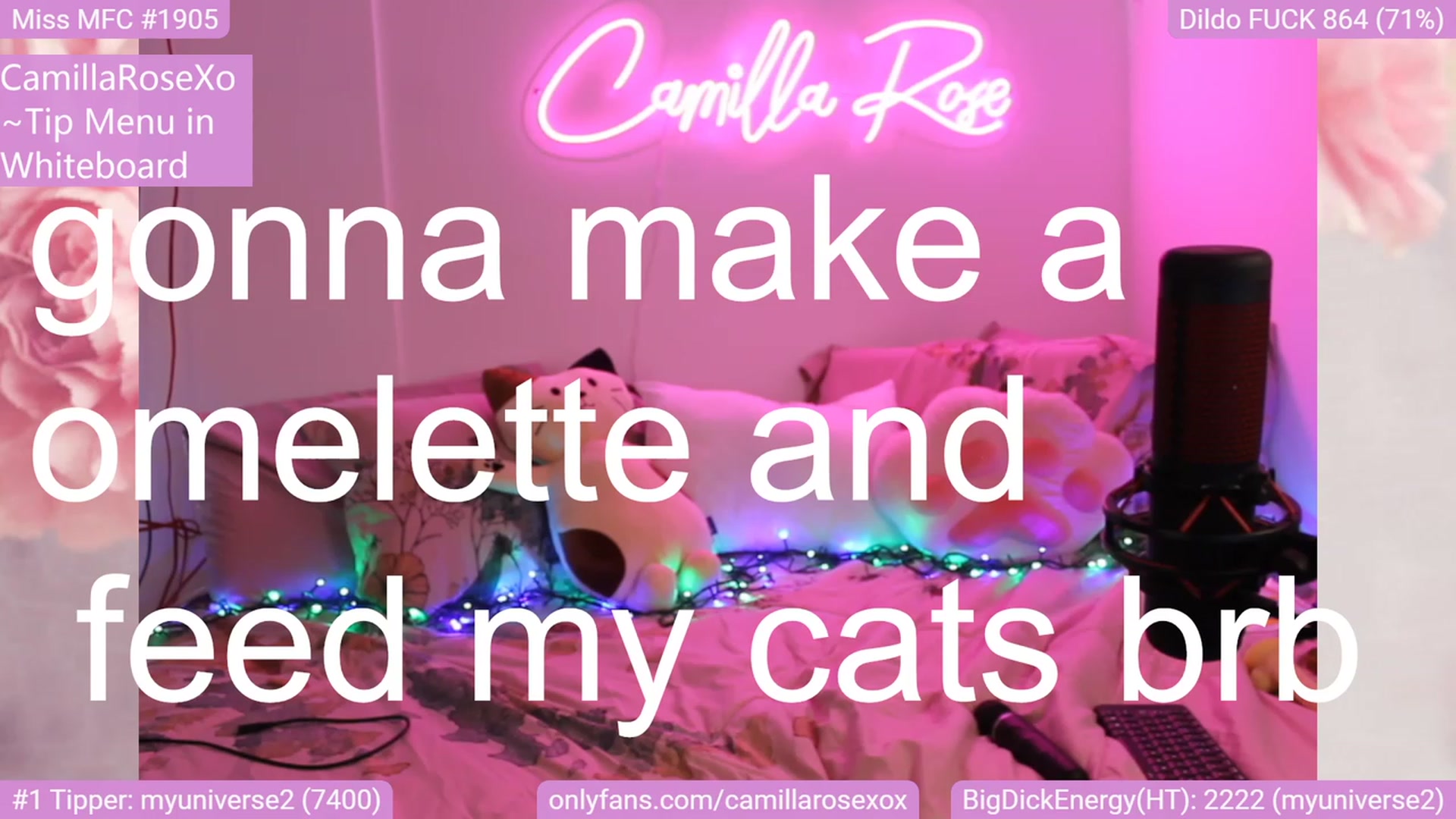 Gallery image thumbnail from CamillaRoseXo's myfreecams stream on, 12/11/2022, 16:47 image 11 of 20