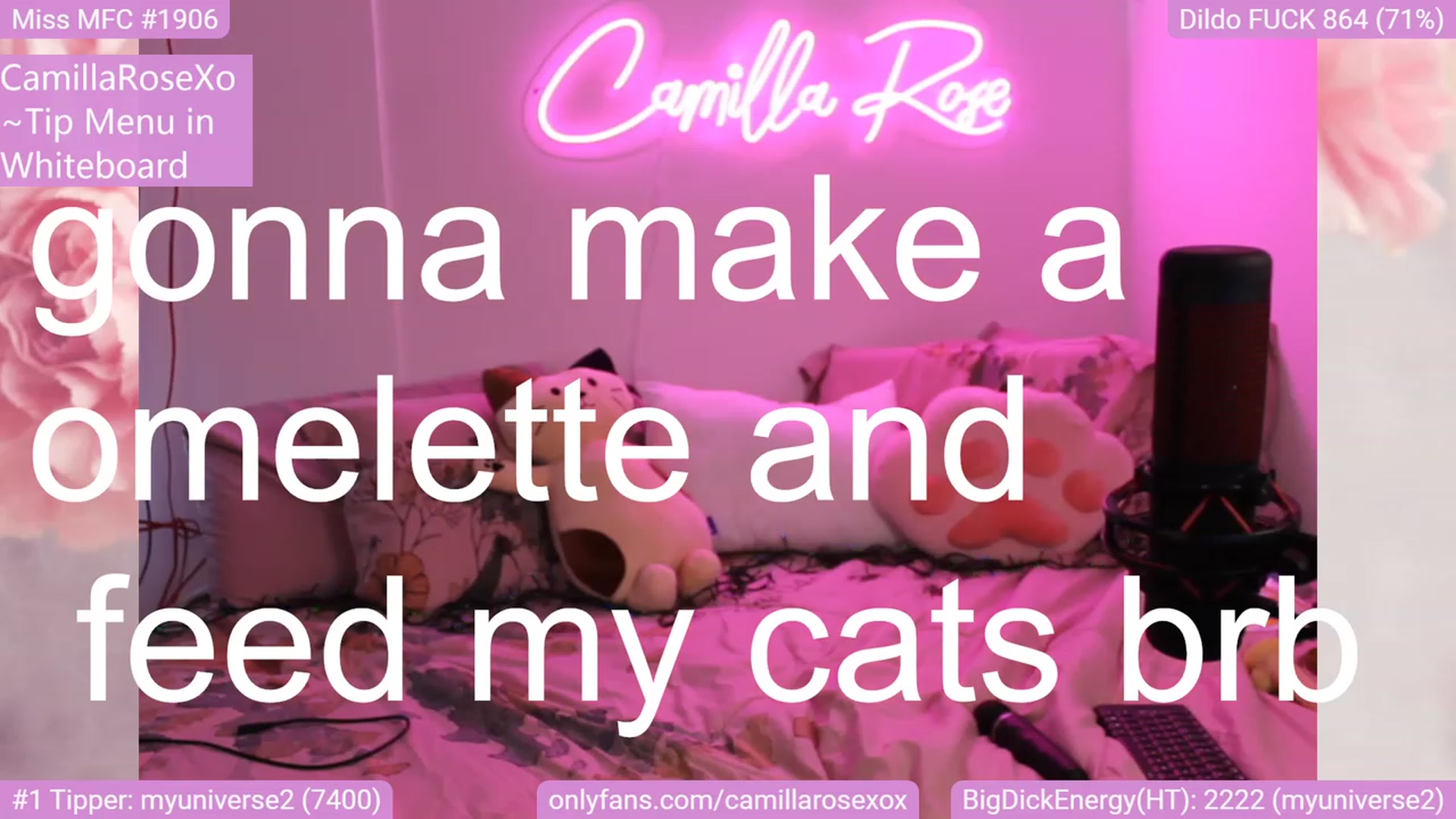 Gallery image thumbnail from CamillaRoseXo's myfreecams stream on, 12/11/2022, 16:47 image 10 of 20