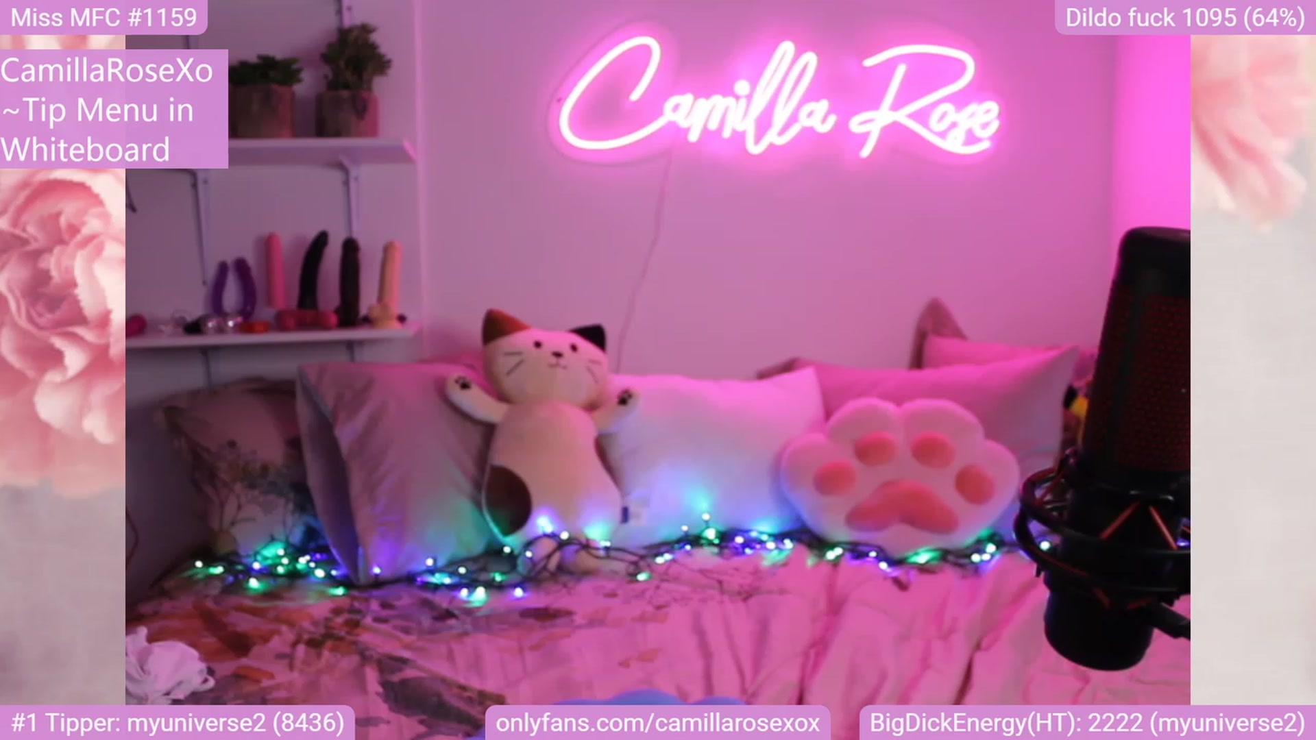 Gallery image thumbnail from CamillaRoseXo's myfreecams stream on, 12/18/2022, 04:25 image 13 of 20