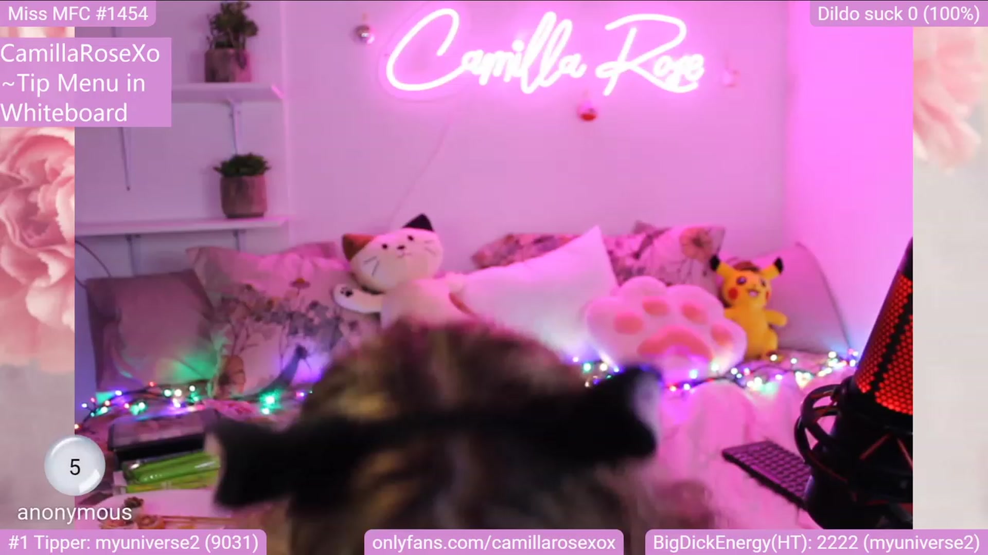 Gallery image thumbnail from CamillaRoseXo's myfreecams stream on, 12/29/2022, 07:48 image 14 of 20