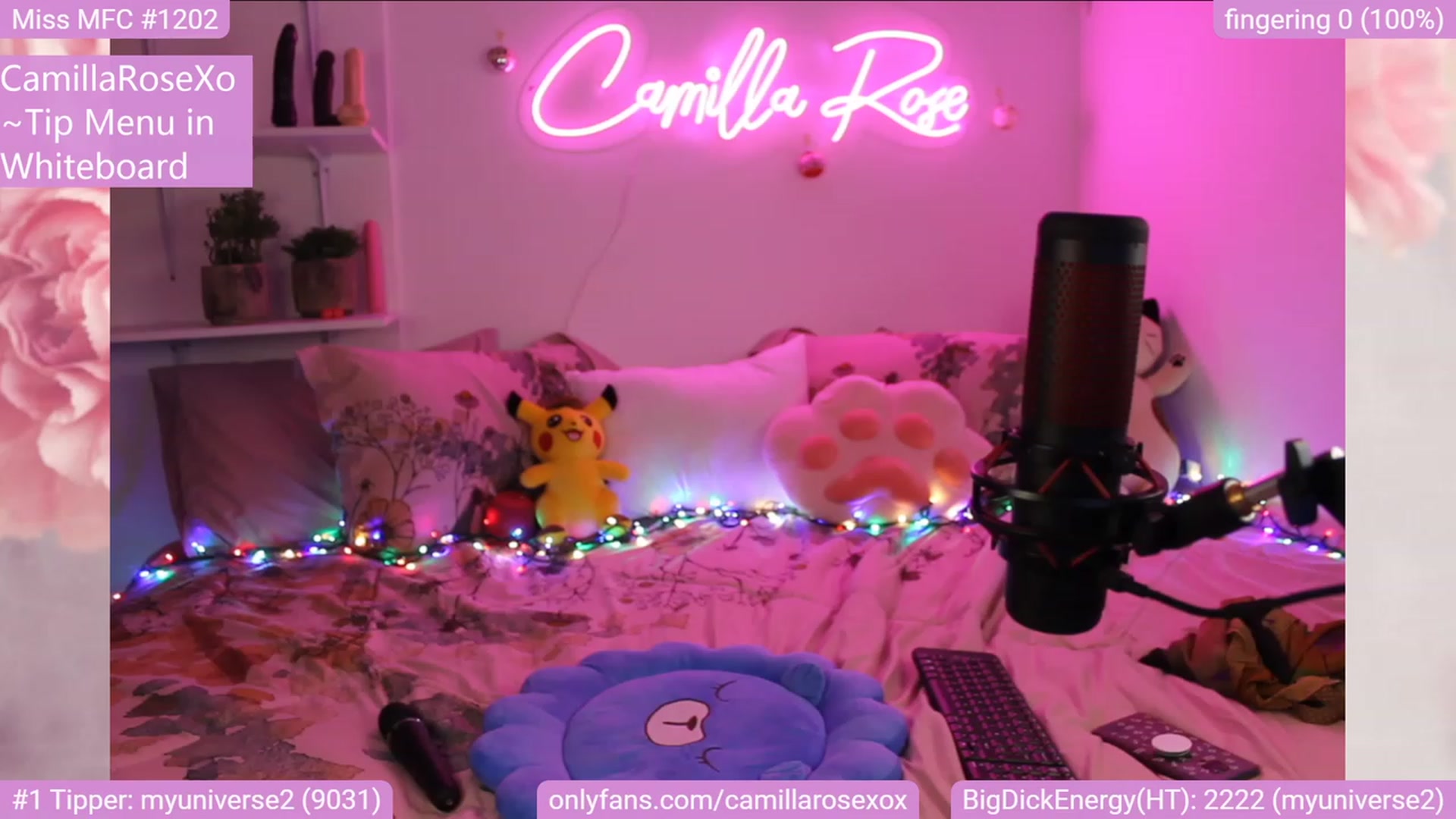 Gallery image thumbnail from CamillaRoseXo's myfreecams stream on, 12/31/2022, 10:08 image 10 of 20