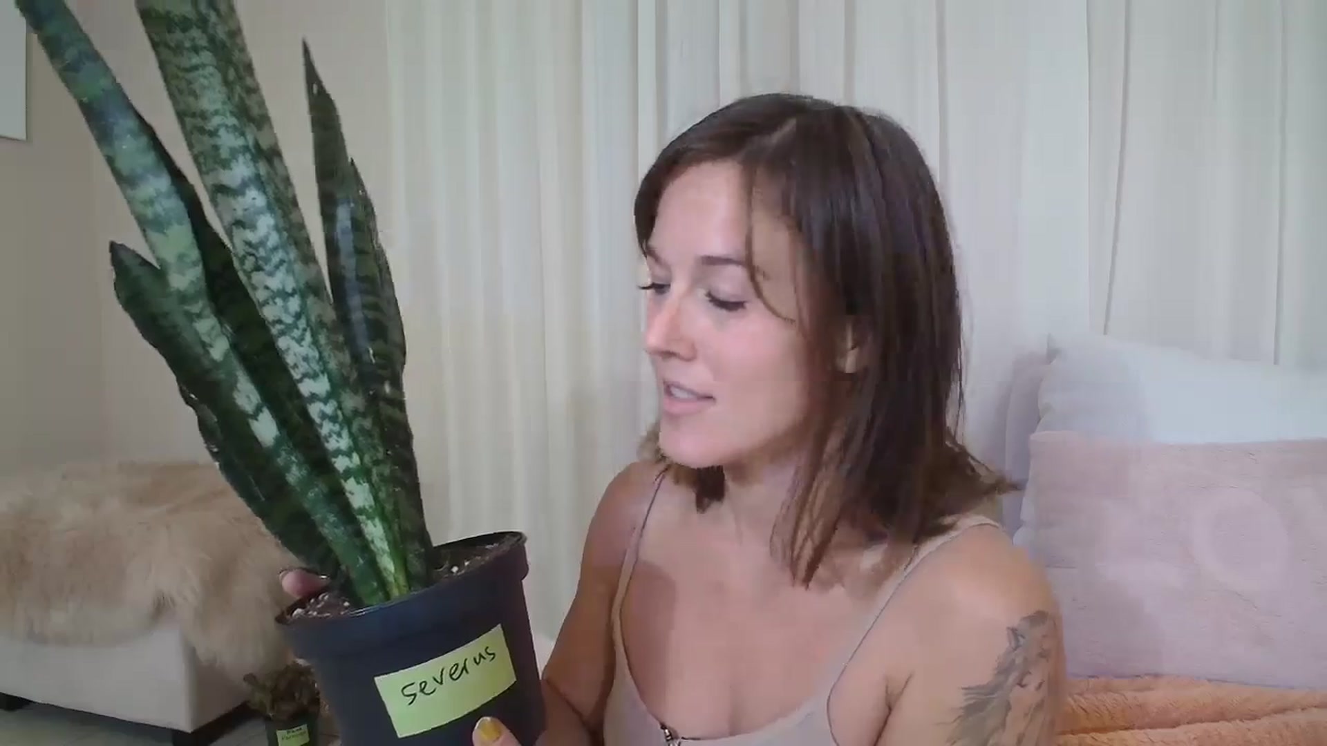 Gallery image thumbnail from CammyCaptain's myfreecams stream on, 10/25/2024, 18:53 image 5 of 20