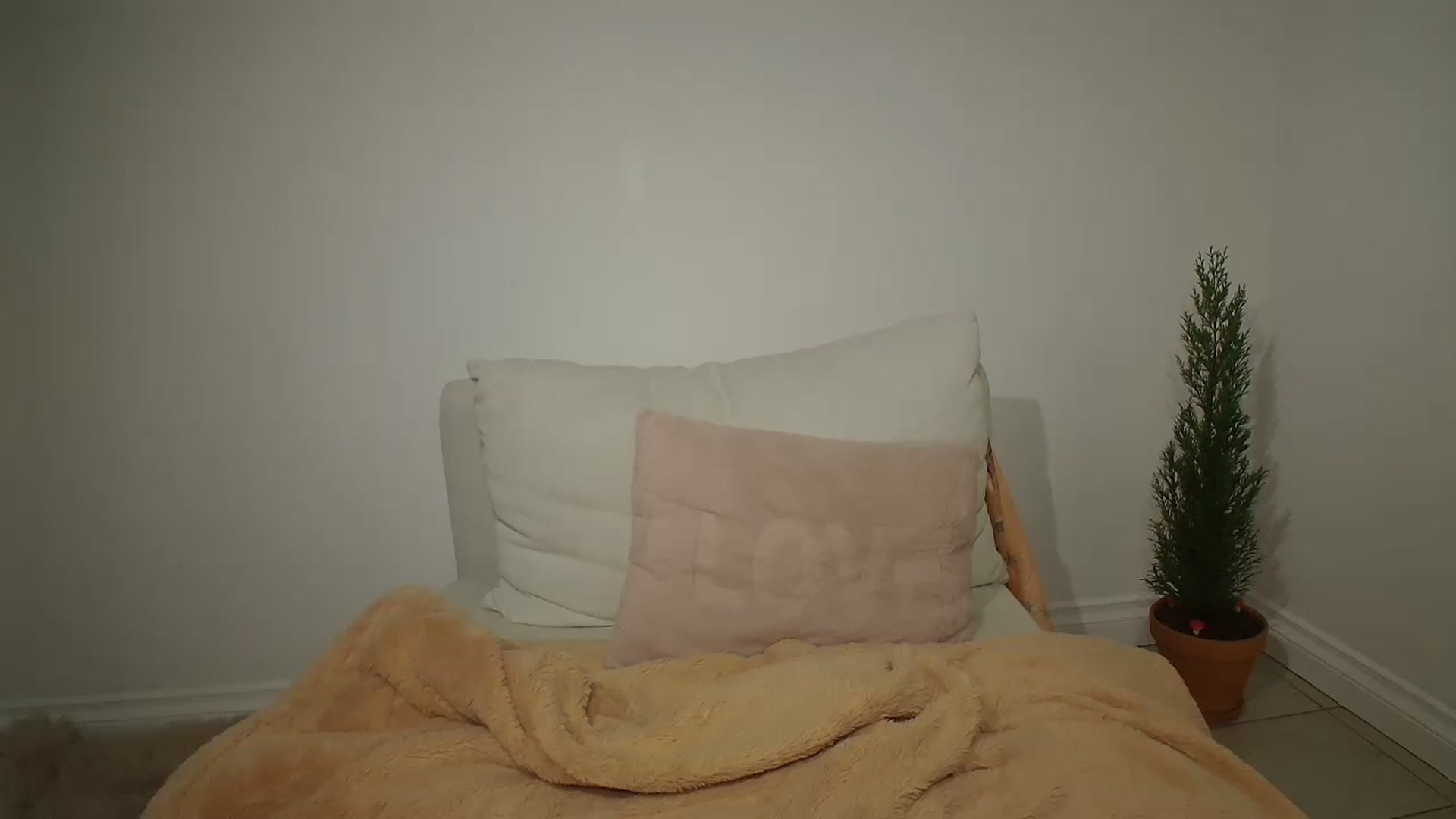Gallery image thumbnail from CammyCaptain's myfreecams stream on, 01/06/2025, 05:06 image 5 of 20