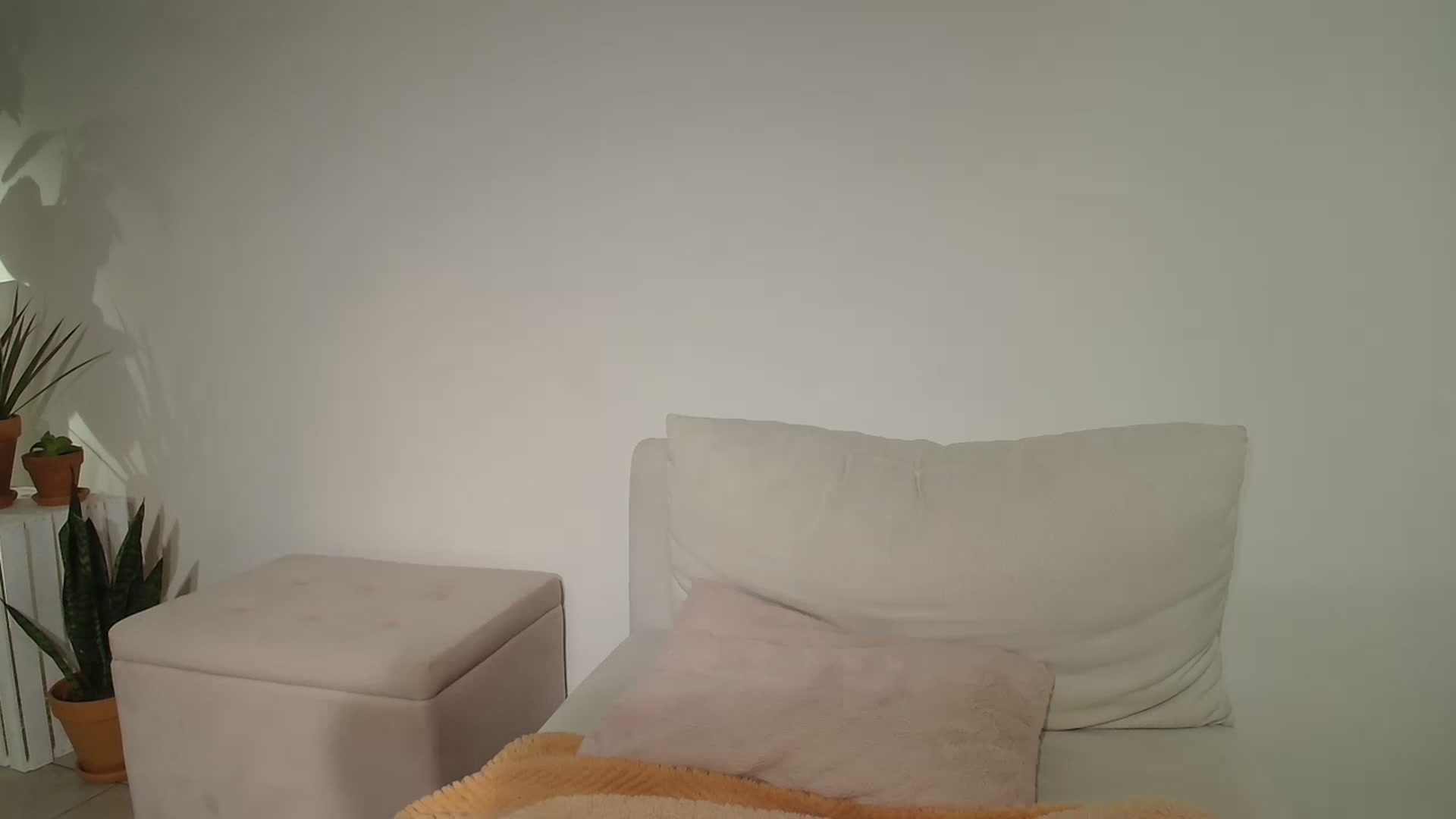 Gallery image thumbnail from CammyCaptain's myfreecams stream on, 02/22/2025, 20:01 image 17 of 20