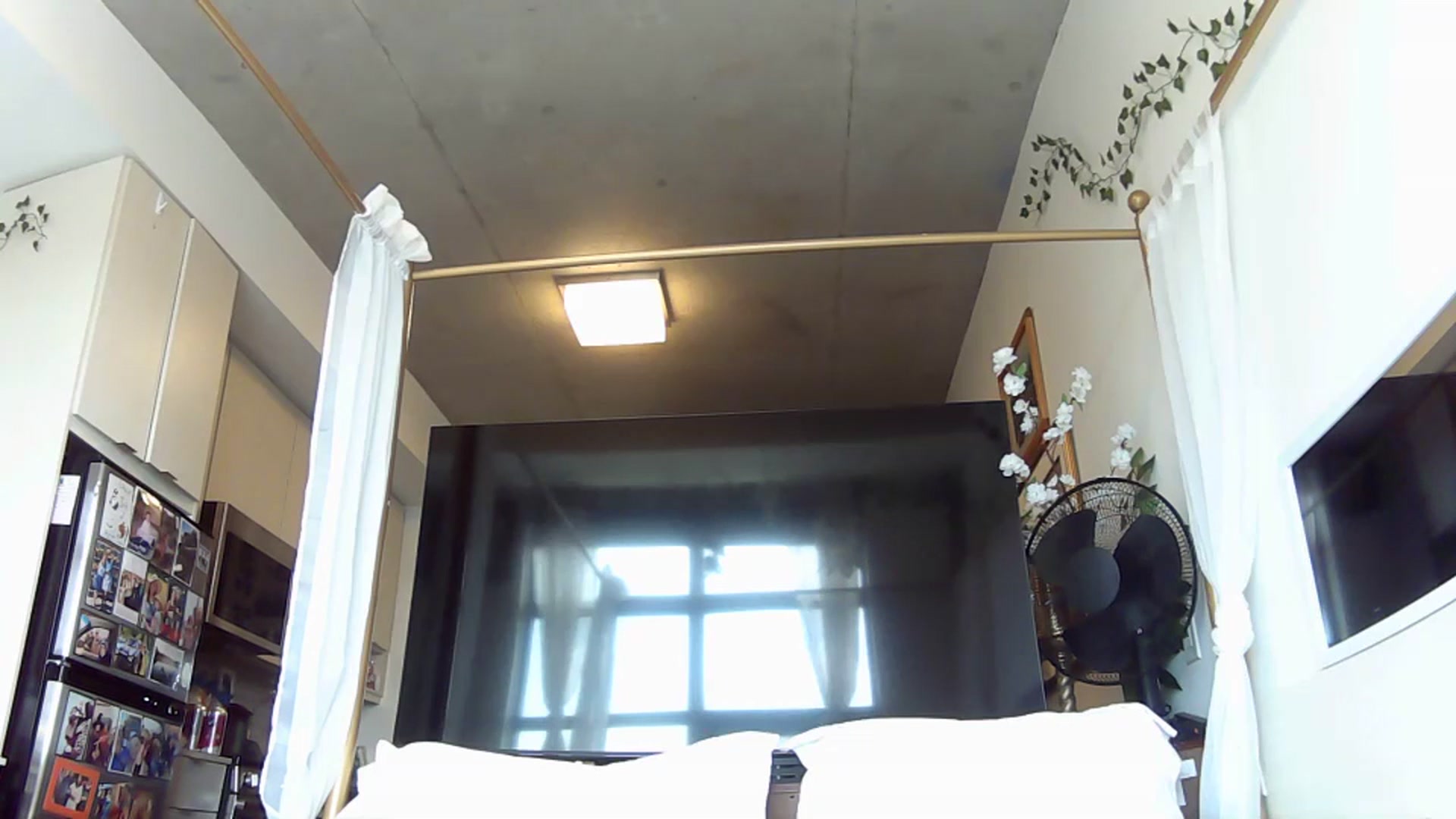 Gallery image thumbnail from CanadaBunny's myfreecams stream on, 07/03/2023, 19:42 image 20 of 20