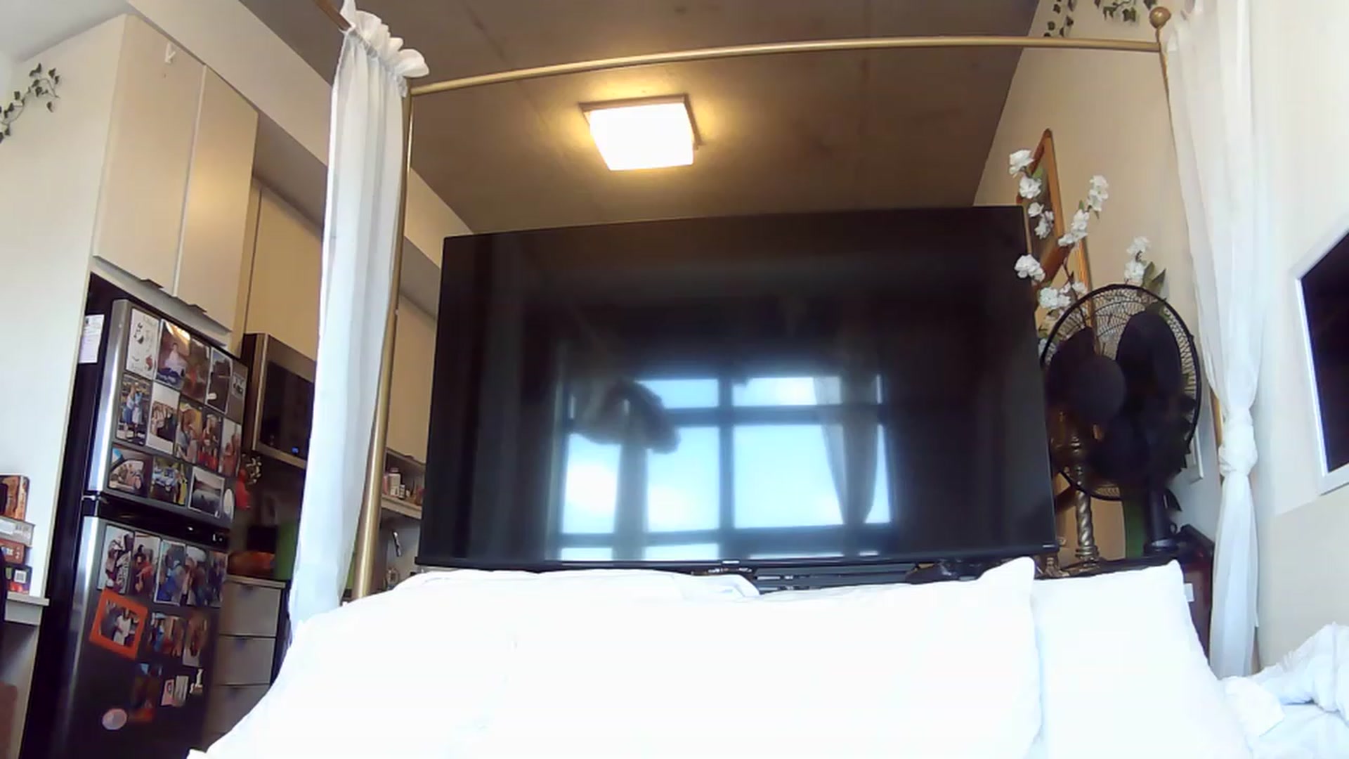 Gallery image thumbnail from CanadaBunny's myfreecams stream on, 07/19/2023, 17:24 image 6 of 20