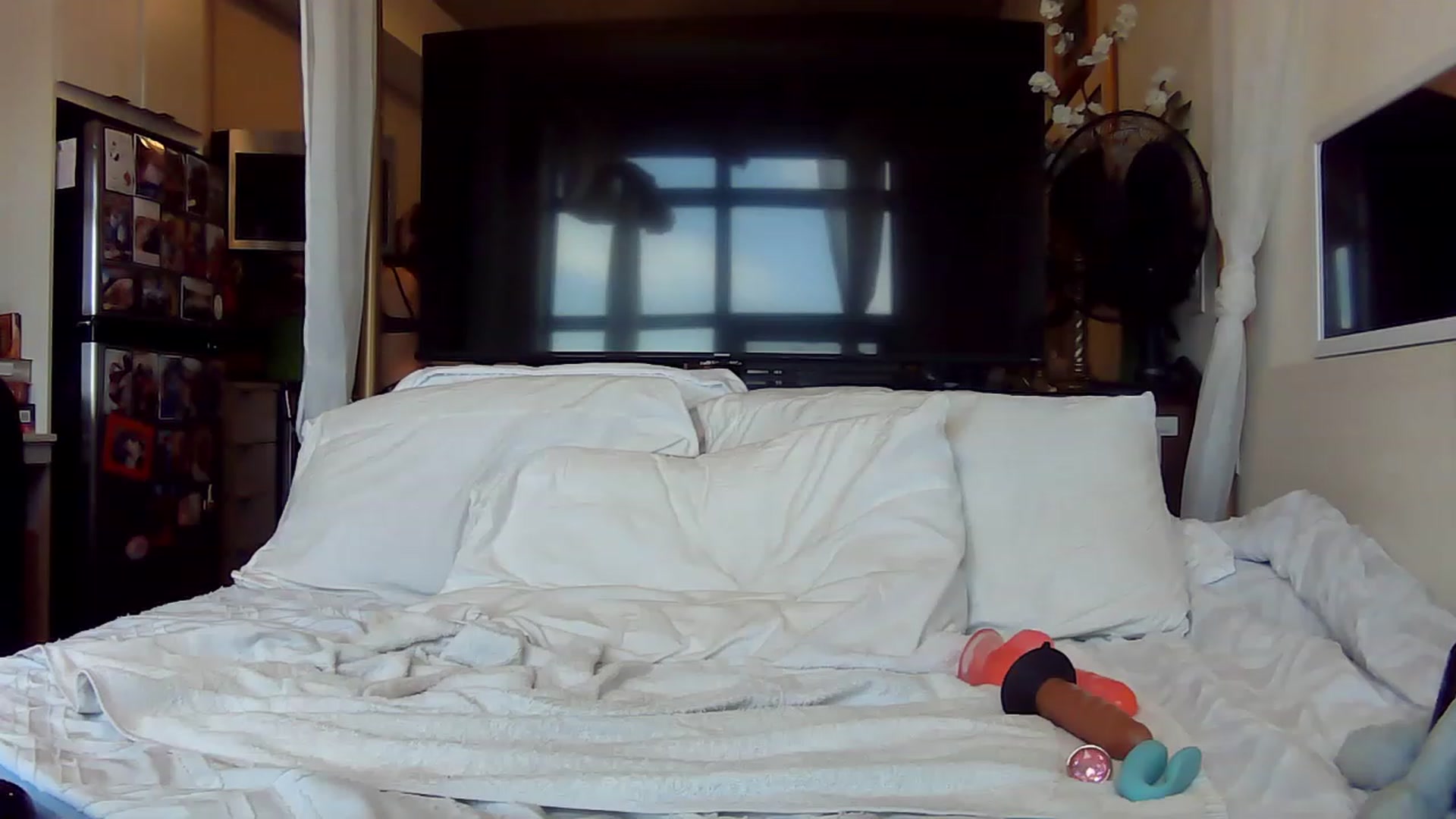 Gallery image thumbnail from CanadaBunny's myfreecams stream on, 07/19/2023, 17:24 image 1 of 20