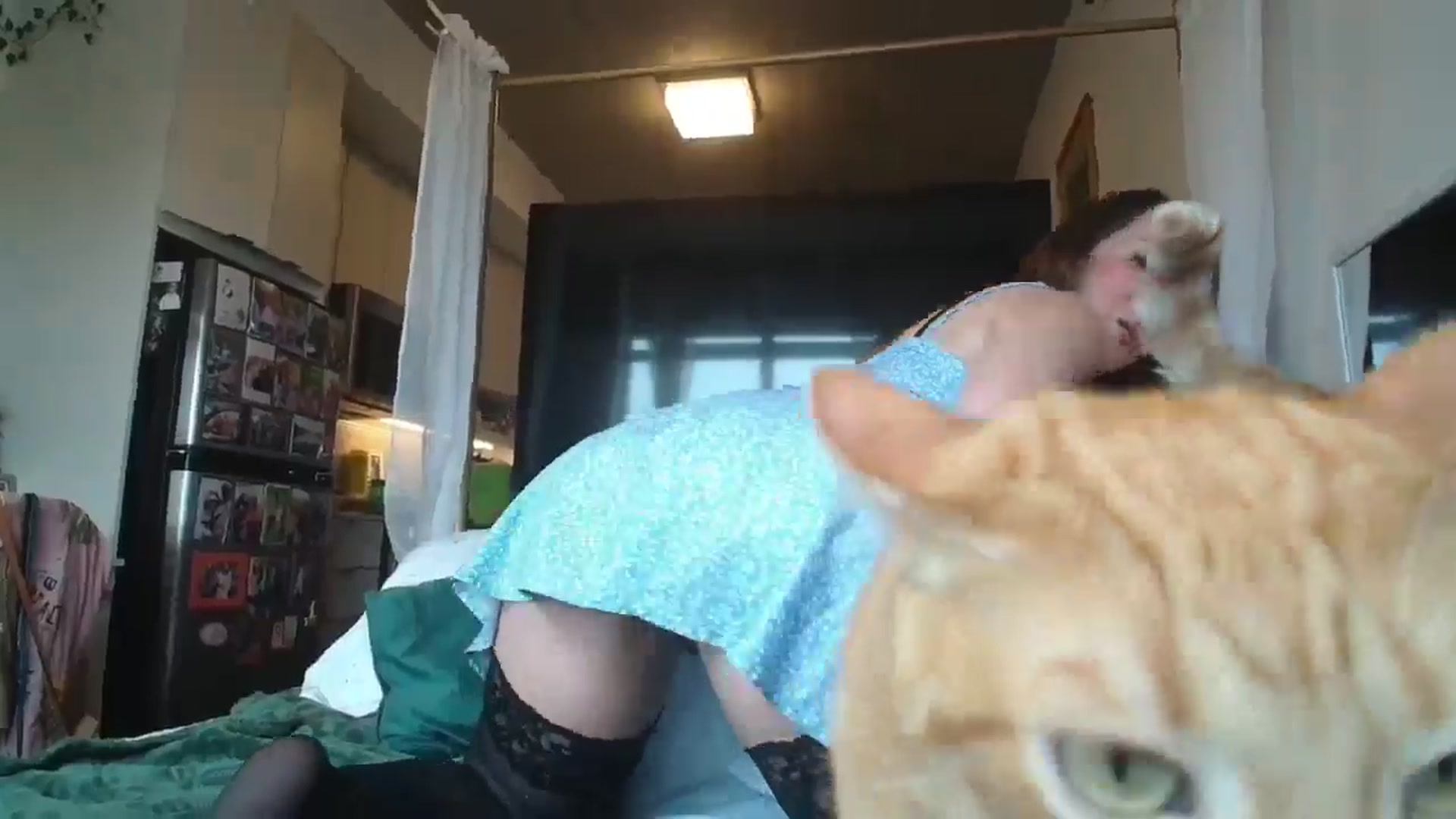 Gallery image thumbnail from CanadaBunny's myfreecams stream on, 06/05/2024, 20:01 image 5 of 20