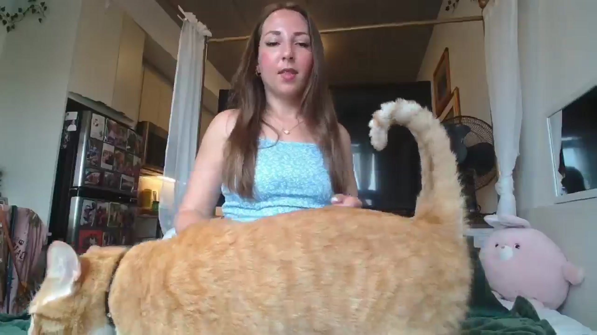 Gallery image thumbnail from CanadaBunny's myfreecams stream on, 06/05/2024, 20:01 image 4 of 20