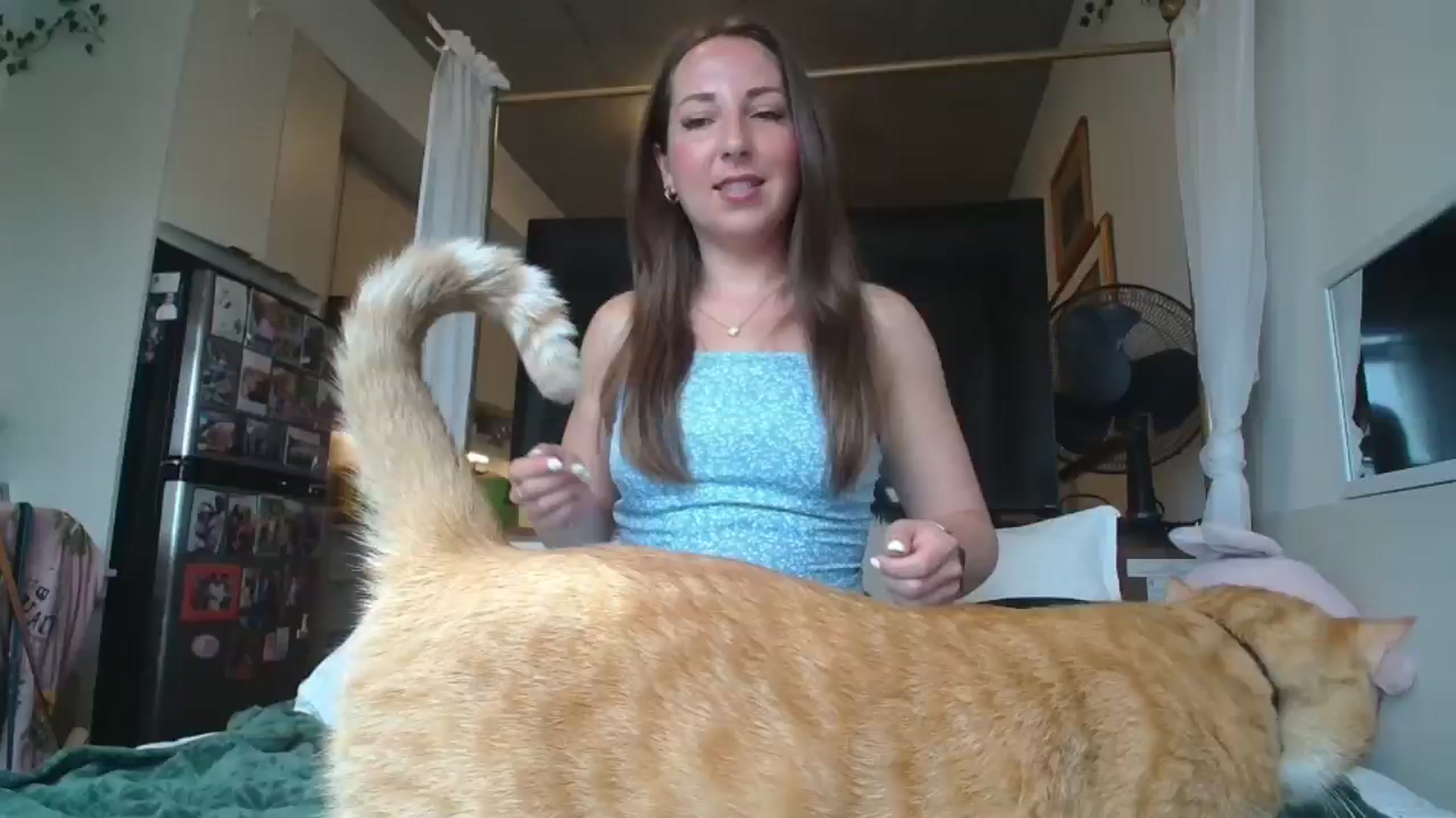 Gallery image thumbnail from CanadaBunny's myfreecams stream on, 06/05/2024, 20:01 image 1 of 20