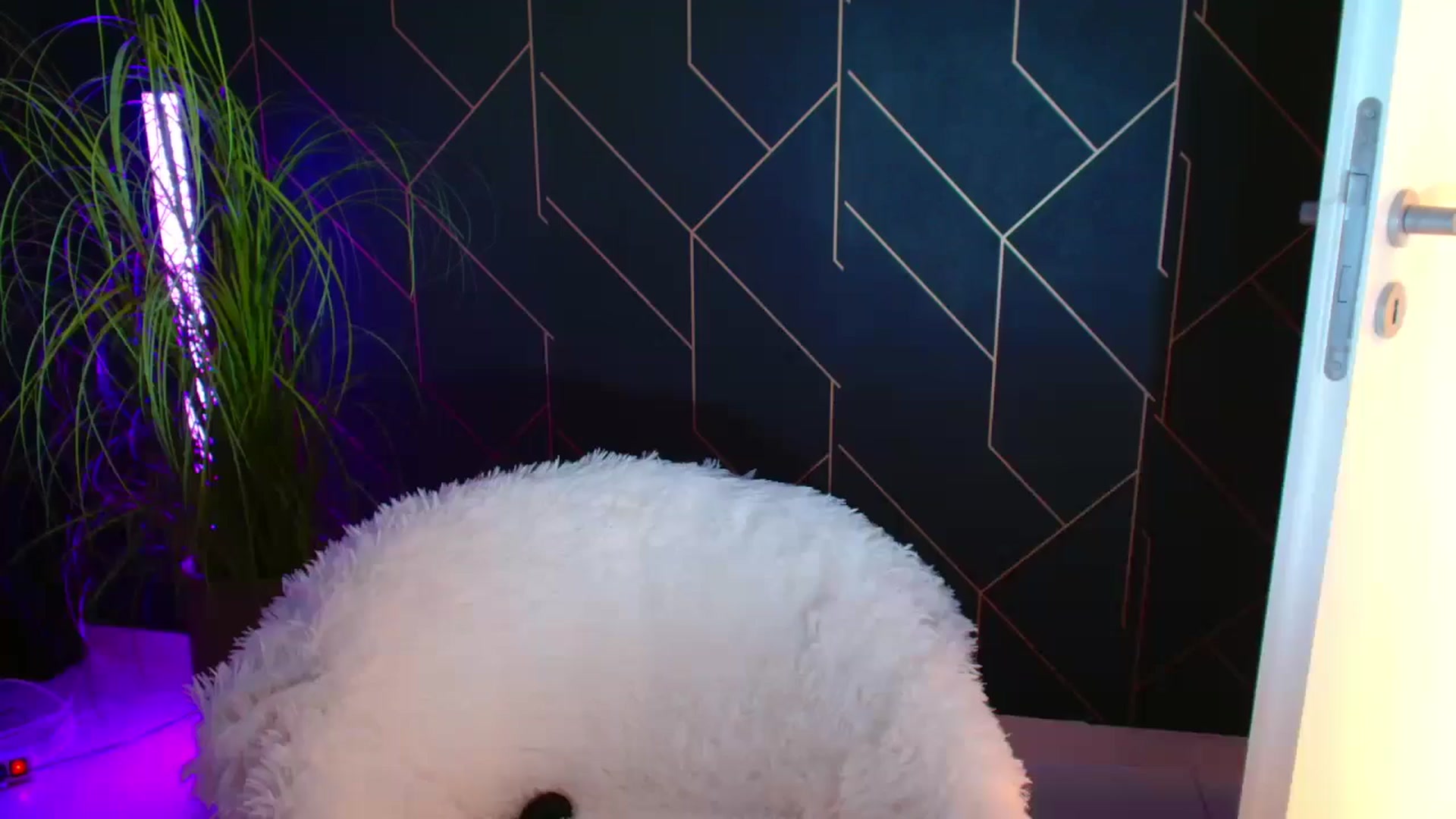Gallery image thumbnail from Candy1's myfreecams stream on, 09/20/2024, 22:05 image 18 of 20