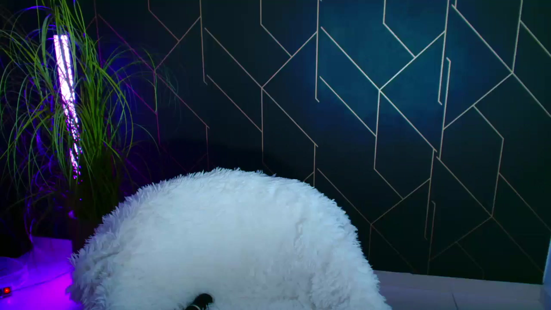 Gallery image thumbnail from Candy1's myfreecams stream on, 09/20/2024, 22:05 image 20 of 20