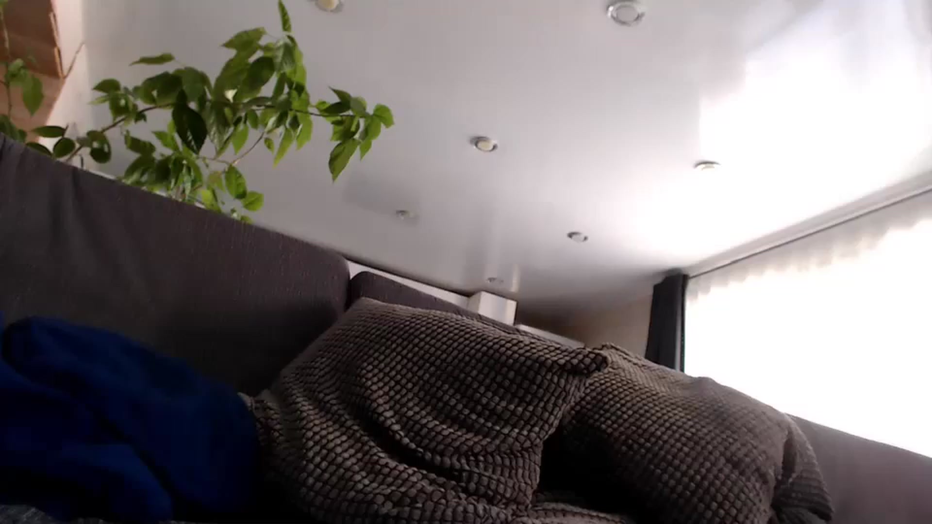 Gallery image thumbnail from CandyBunie's myfreecams stream on, 10/03/2023, 05:43 image 9 of 20