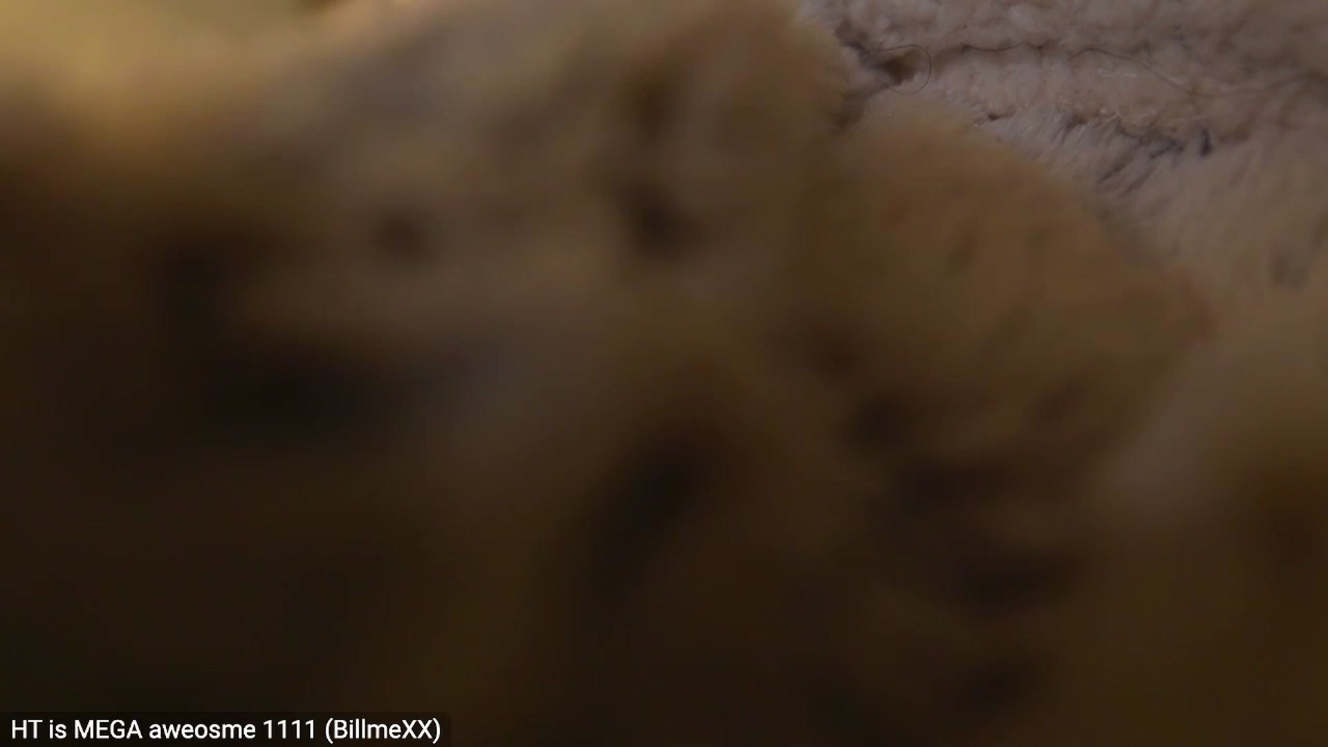 Gallery image thumbnail from Carmen's myfreecams stream on, 04/04/2023, 06:27 image 12 of 20