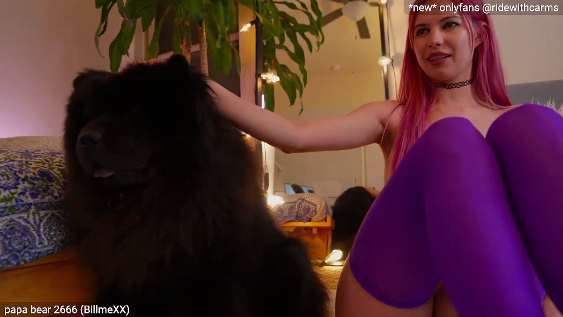 Gallery image thumbnail from Carmen's myfreecams stream on, 04/12/2023, 06:40 image 20 of 20