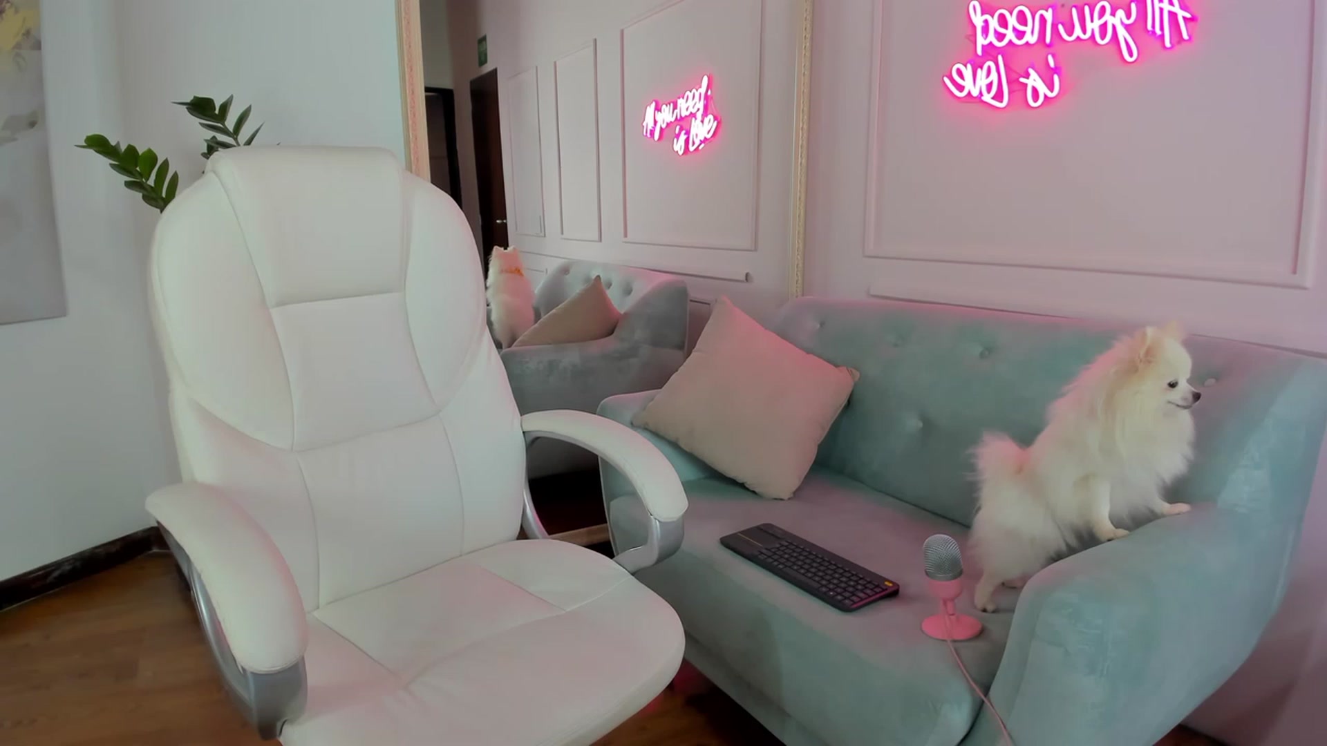 Gallery image thumbnail from Caro_Cano's myfreecams stream on, 03/12/2023, 18:22 image 4 of 20