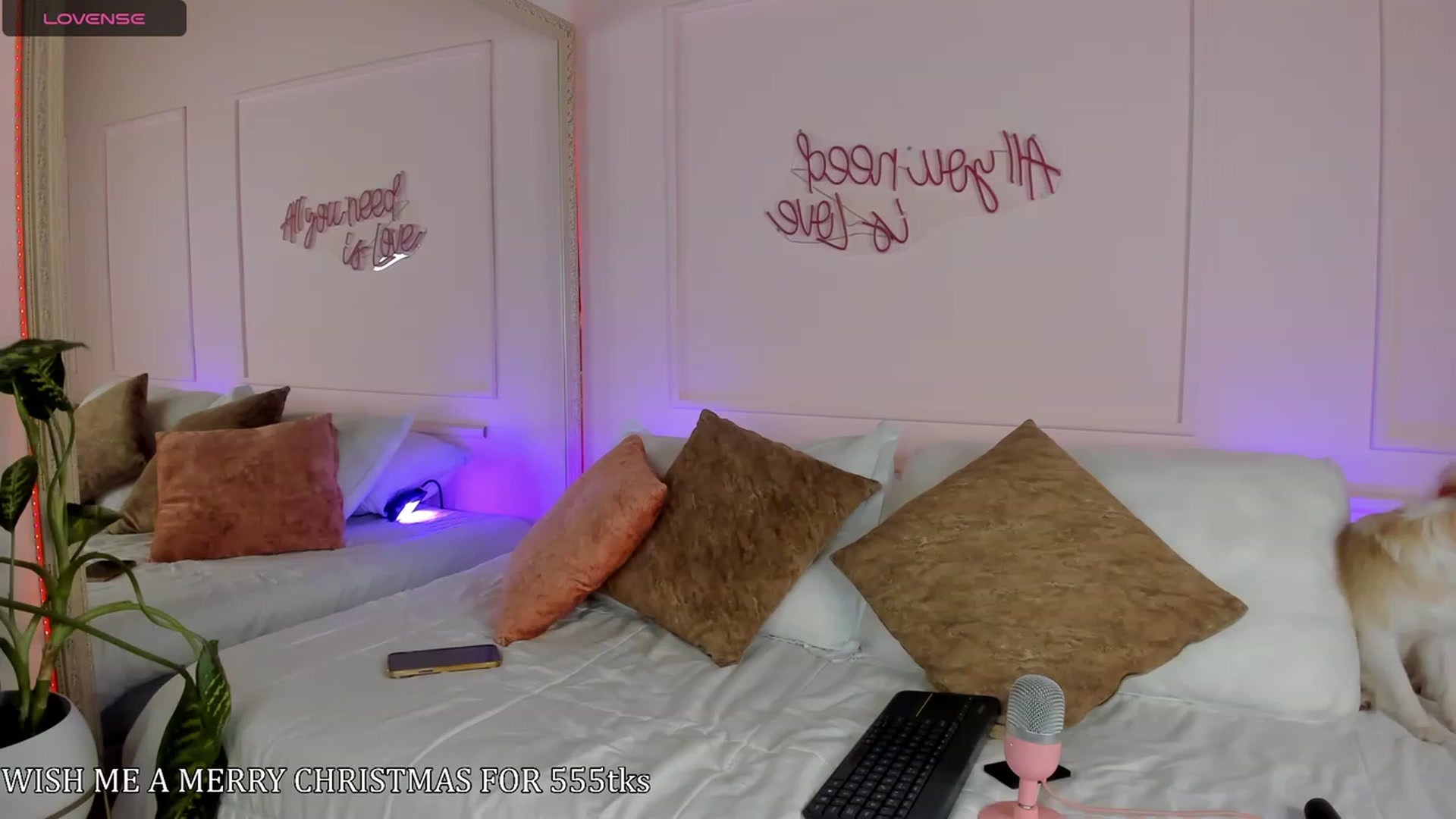 Gallery image thumbnail from Caro_Cano's myfreecams stream on, 12/24/2023, 22:15 image 14 of 20