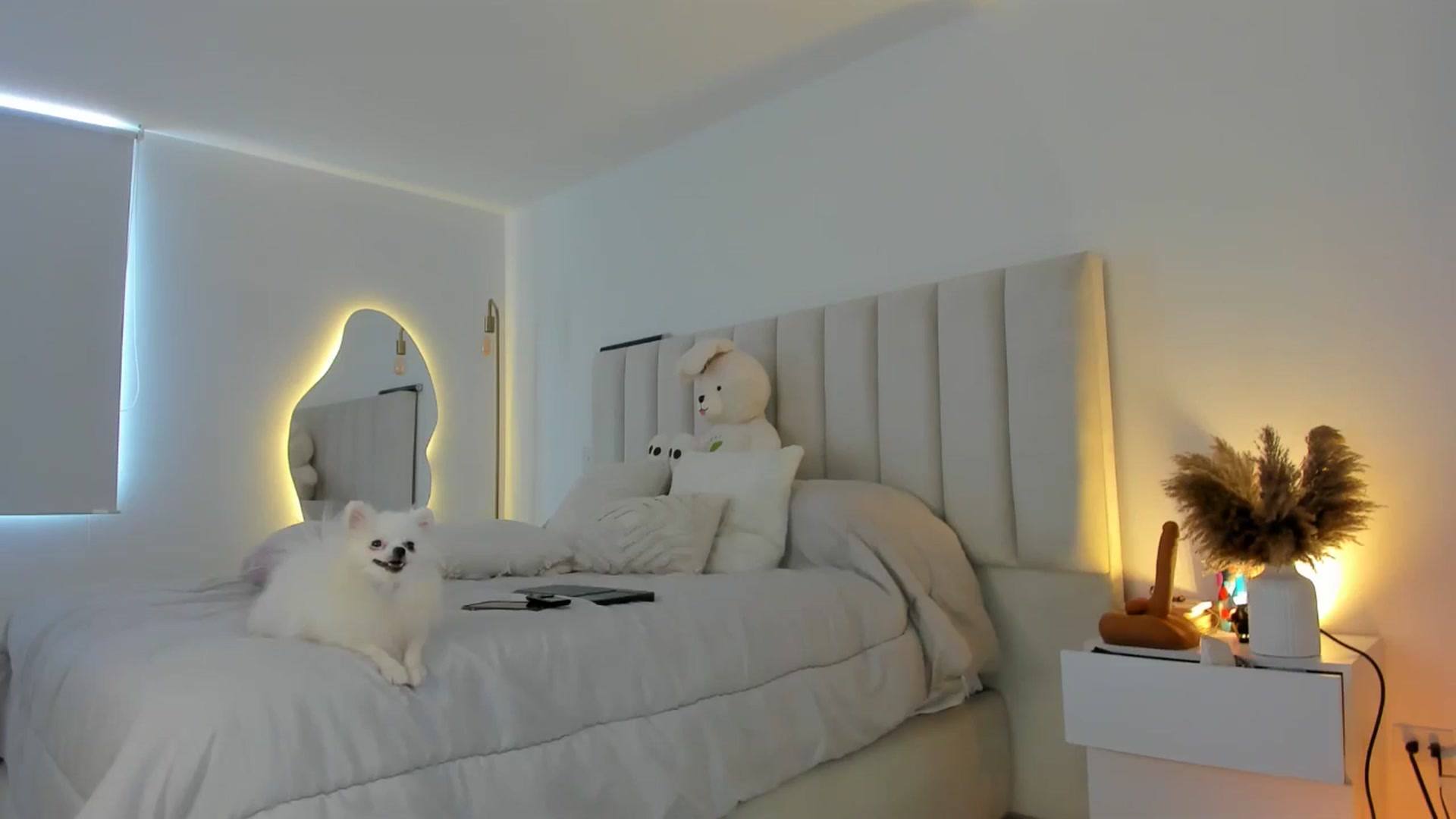 Gallery image thumbnail from Caro_Cano's myfreecams stream on, 07/23/2024, 20:12 image 5 of 20