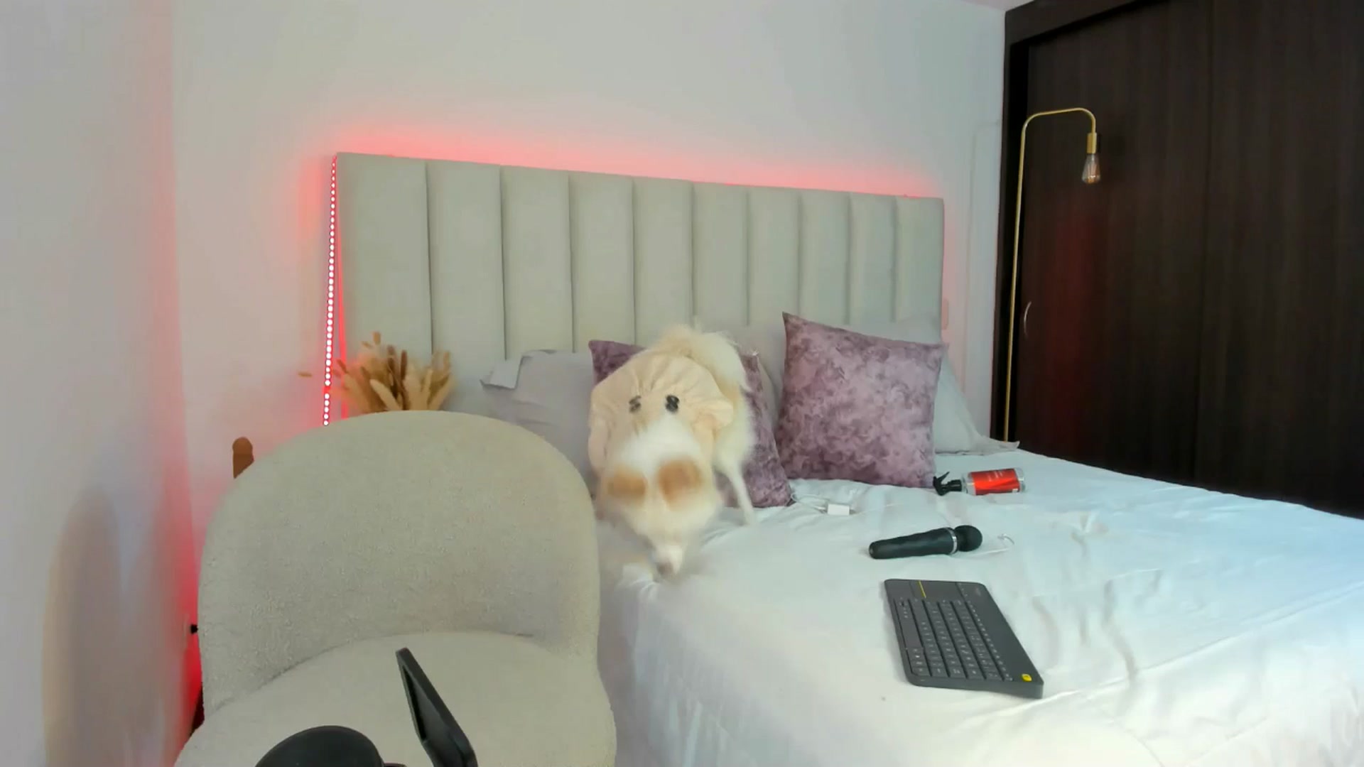 Gallery image thumbnail from Caro_Cano's myfreecams stream on, 01/08/2025, 18:13 image 18 of 20