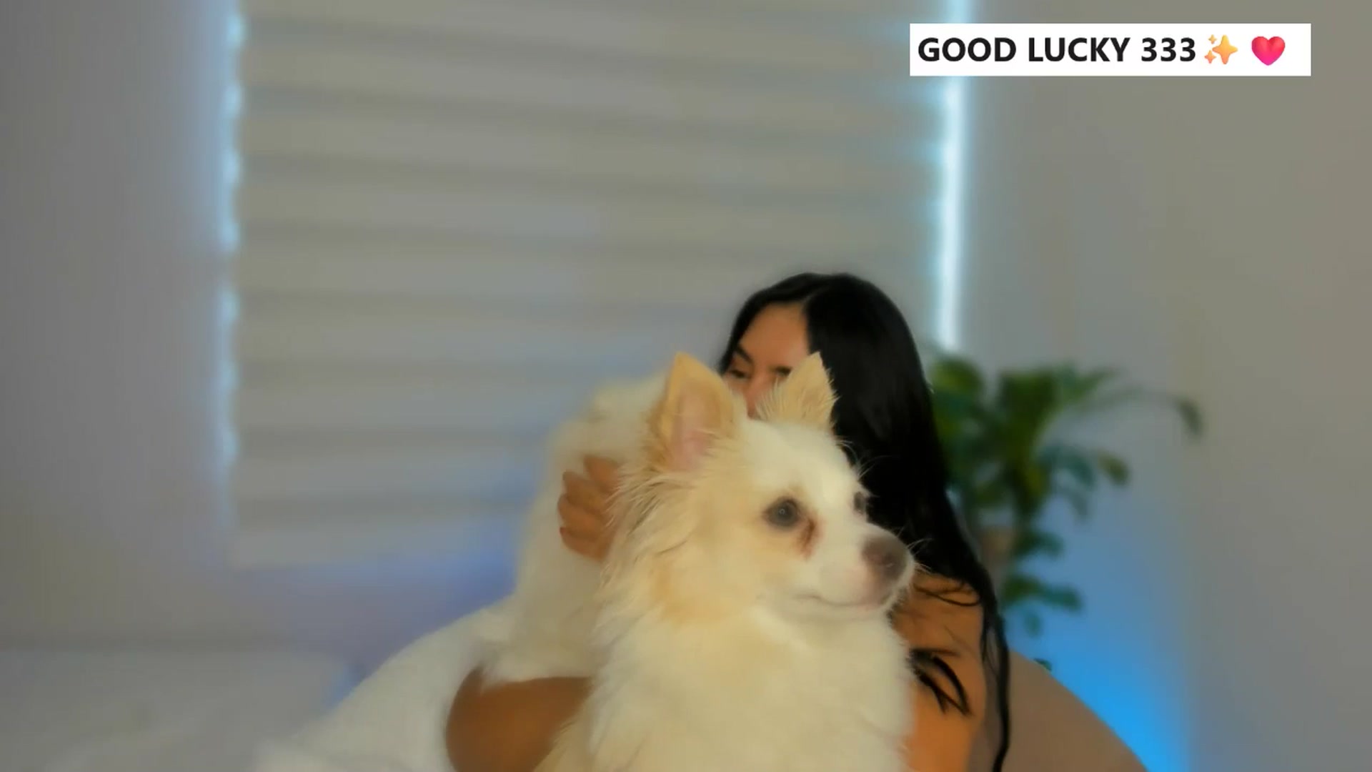 Gallery image thumbnail from Caro_Cano's myfreecams stream on, 05/06/2025, 21:47 image 16 of 20