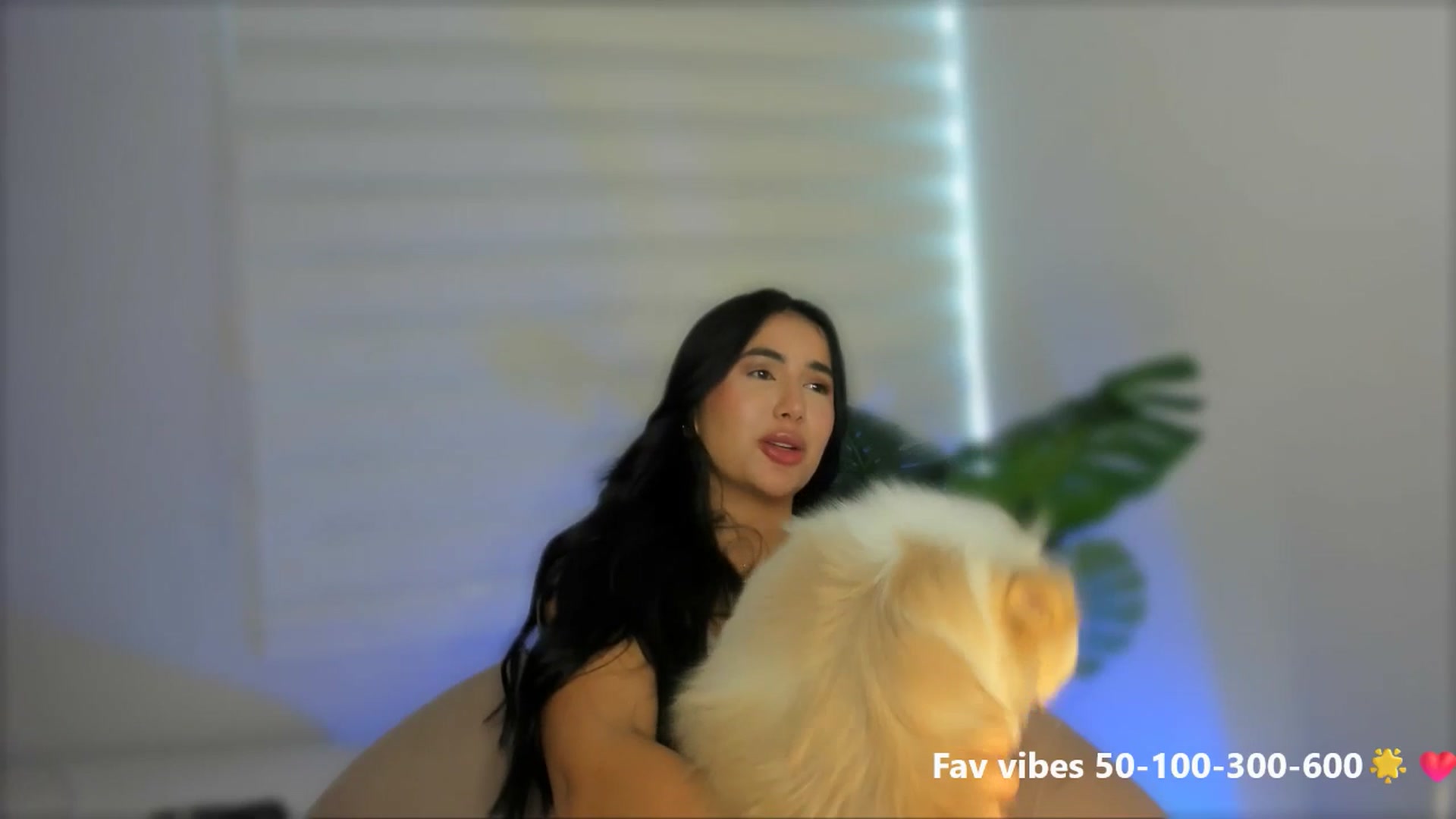 Gallery image thumbnail from Caro_Cano's myfreecams stream on, 05/16/2025, 18:46 image 5 of 20