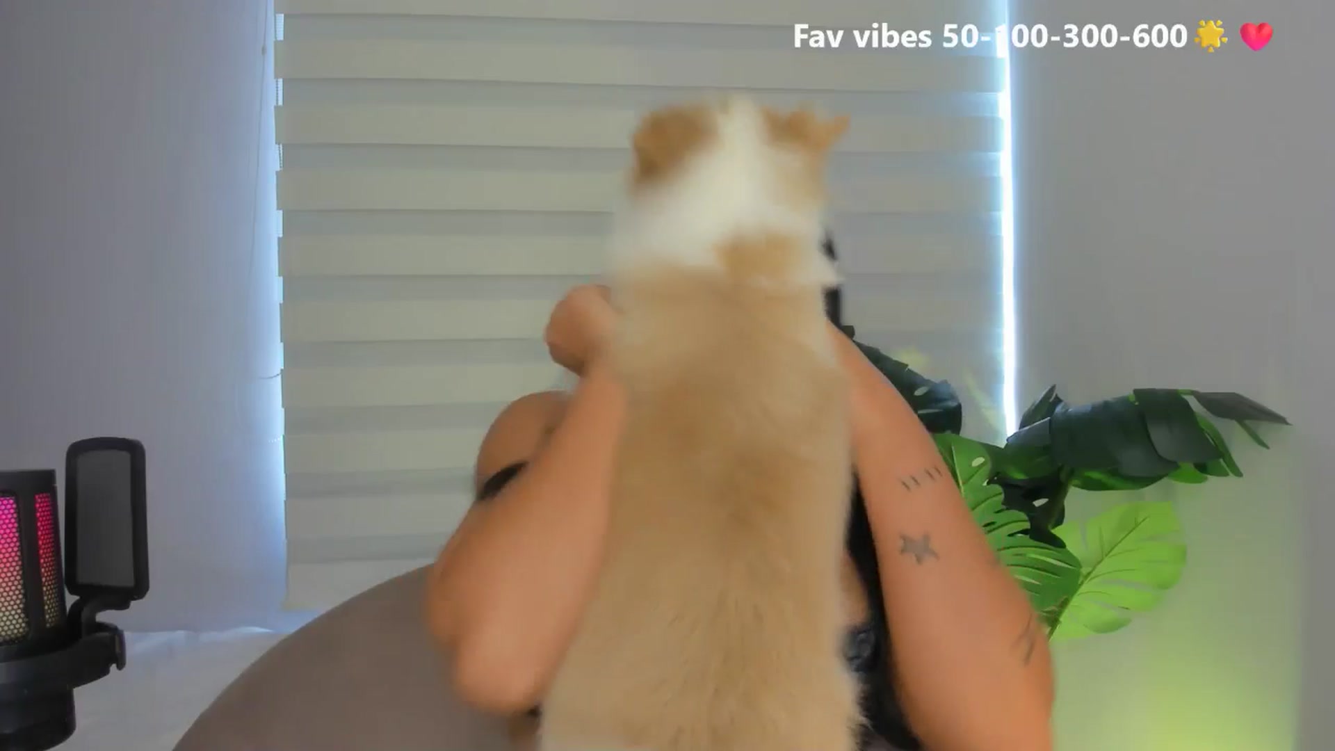 Gallery image thumbnail from Caro_Cano's myfreecams stream on, 05/24/2025, 16:35 image 8 of 20