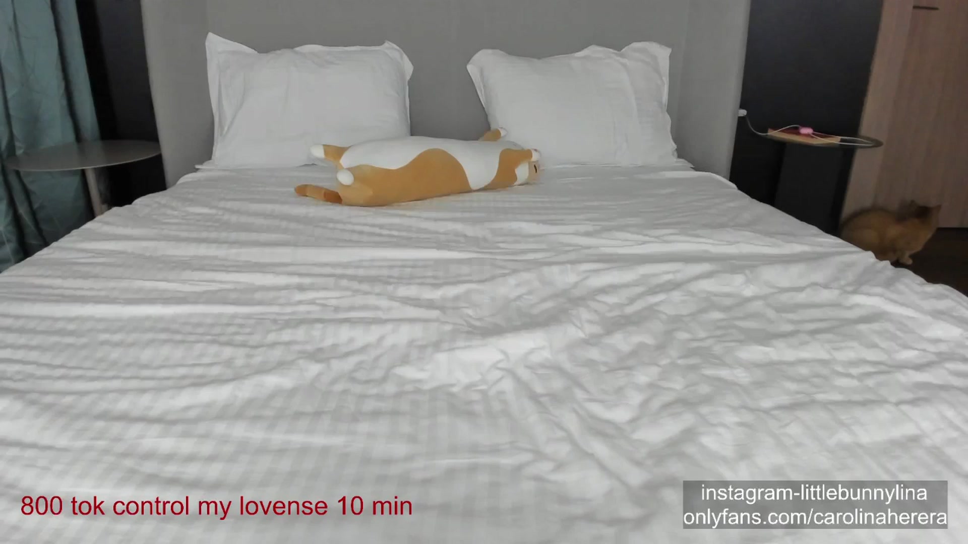 Gallery image thumbnail from CarolinaHerer's myfreecams stream on, 09/29/2023, 19:04 image 1 of 20