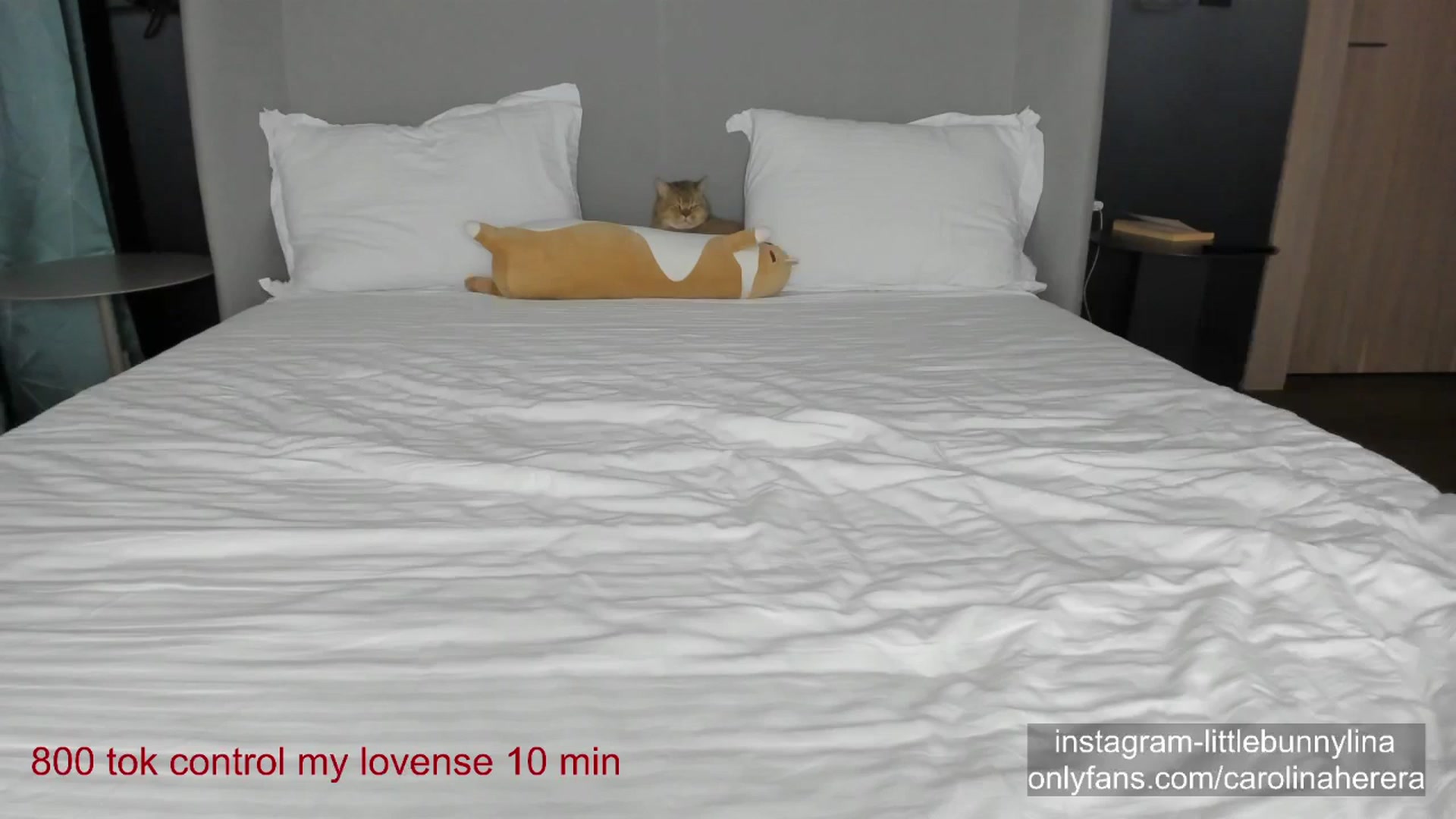 Gallery image thumbnail from CarolinaHerer's myfreecams stream on, 10/08/2023, 18:06 image 4 of 20