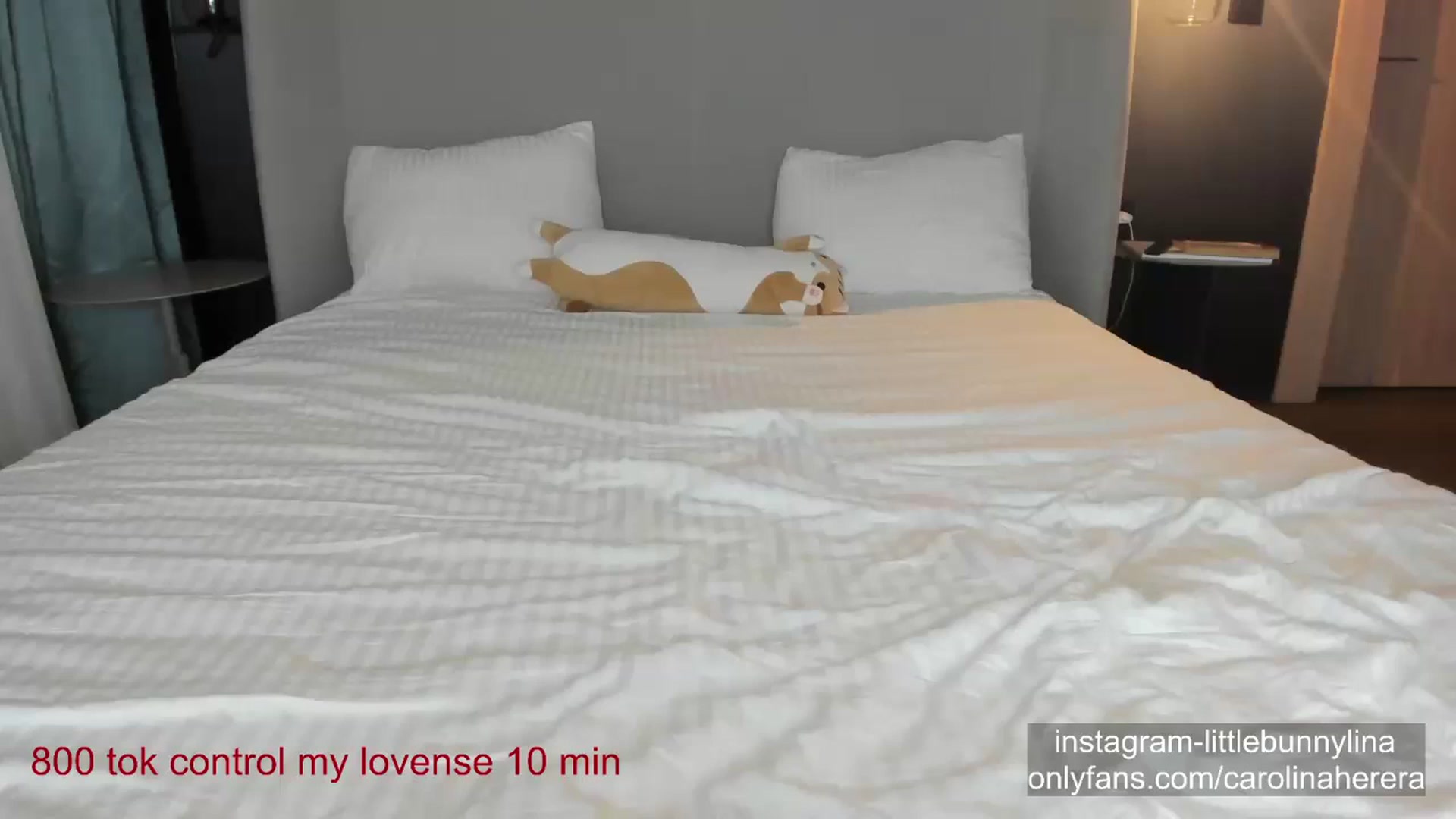 Gallery image thumbnail from CarolinaHerer's myfreecams stream on, 10/23/2023, 18:18 image 14 of 20