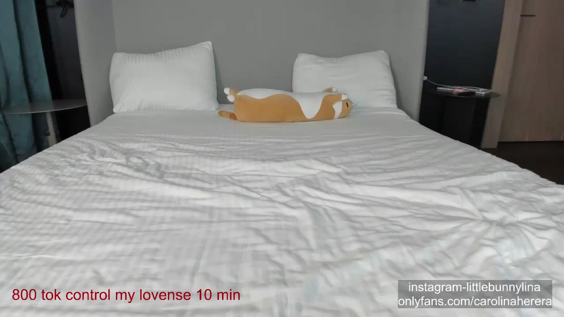 Gallery image thumbnail from CarolinaHerer's myfreecams stream on, 11/03/2023, 20:04 image 15 of 20