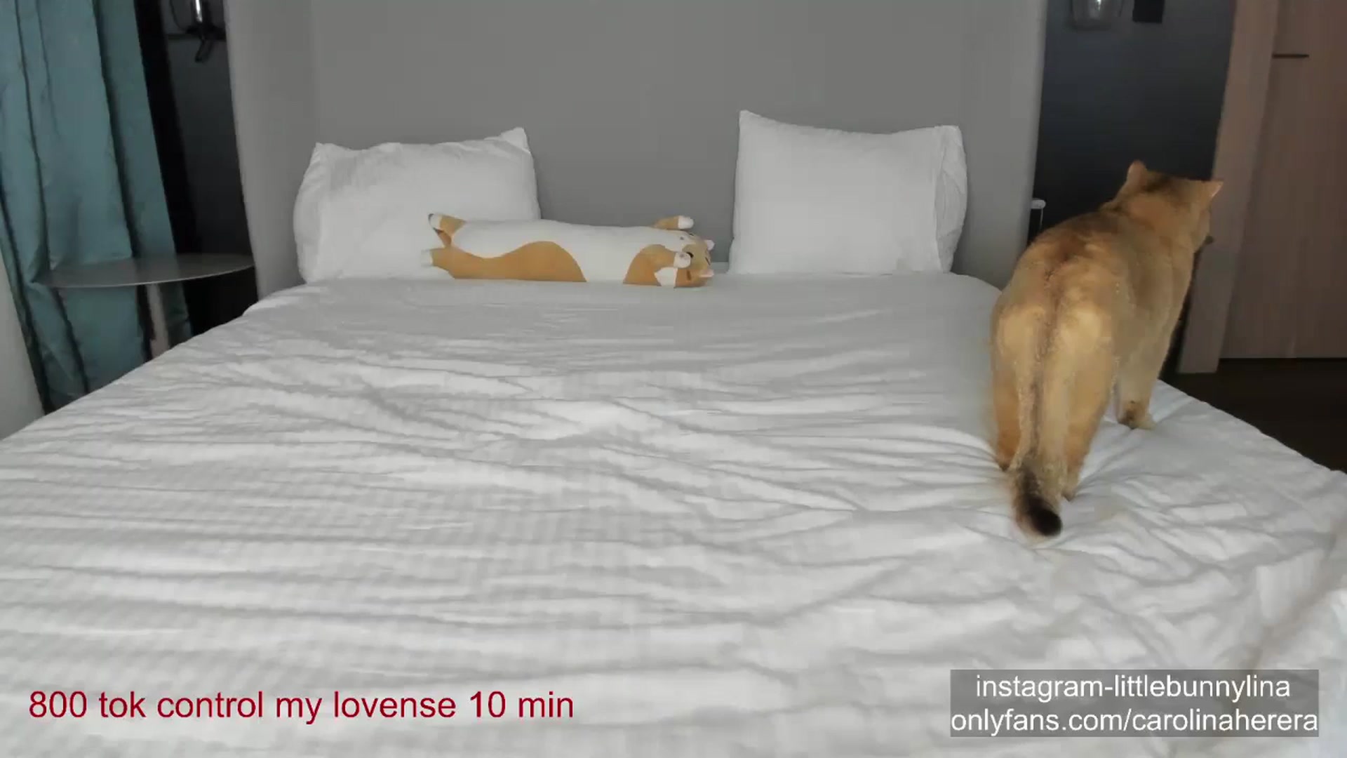 Gallery image thumbnail from CarolinaHerer's myfreecams stream on, 12/03/2023, 17:34 image 20 of 20