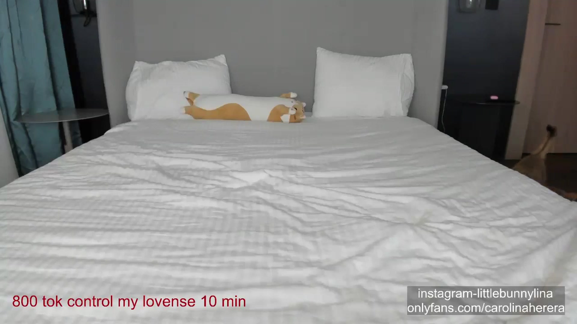 Gallery image thumbnail from CarolinaHerer's myfreecams stream on, 12/03/2023, 17:34 image 19 of 20
