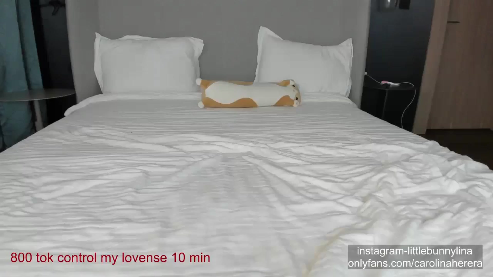 Gallery image thumbnail from CarolinaHerer's myfreecams stream on, 12/13/2023, 19:50 image 19 of 20