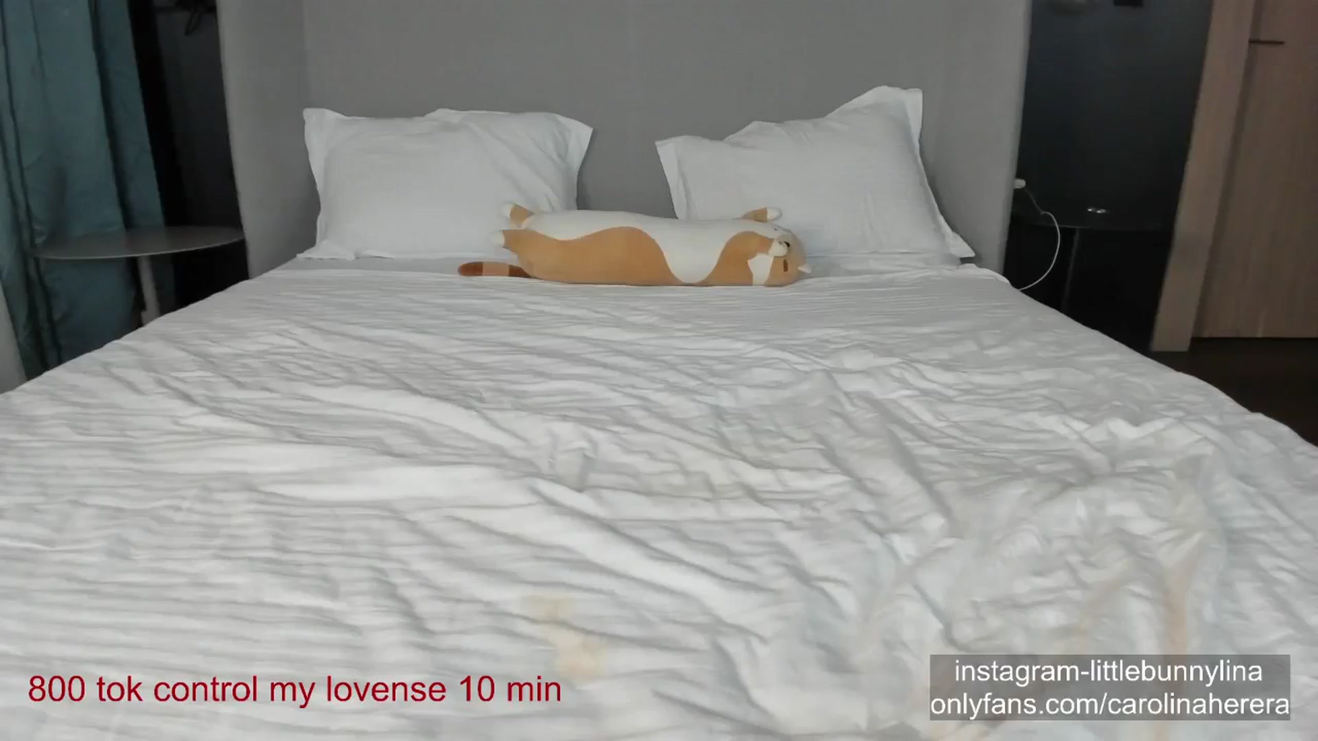 Gallery image thumbnail from CarolinaHerer's myfreecams stream on, 12/15/2023, 21:54 image 5 of 20