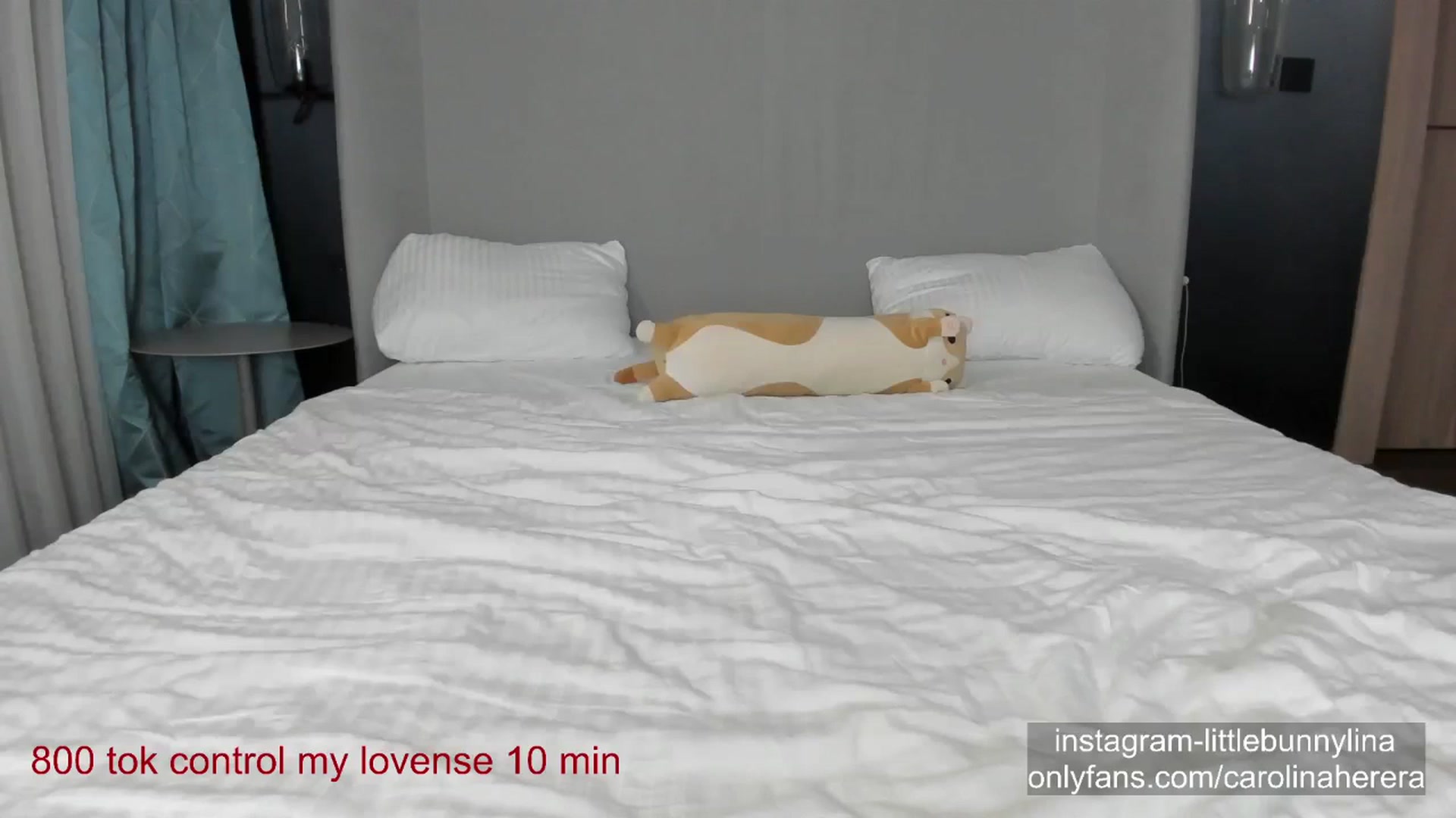 Gallery image thumbnail from CarolinaHerer's myfreecams stream on, 01/26/2024, 23:03 image 13 of 20
