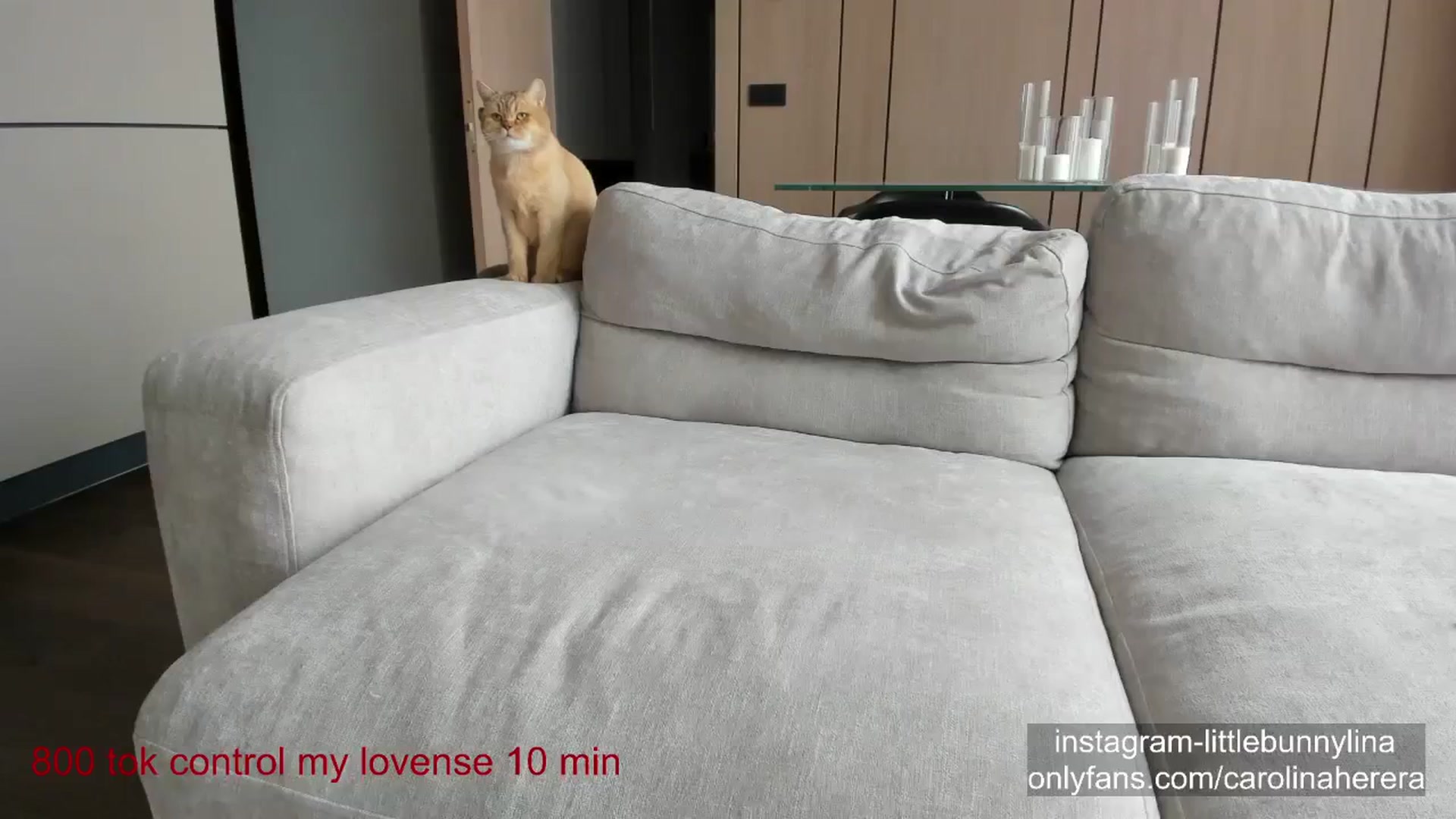 Gallery image thumbnail from CarolinaHerer's myfreecams stream on, 04/06/2024, 12:39 image 17 of 20