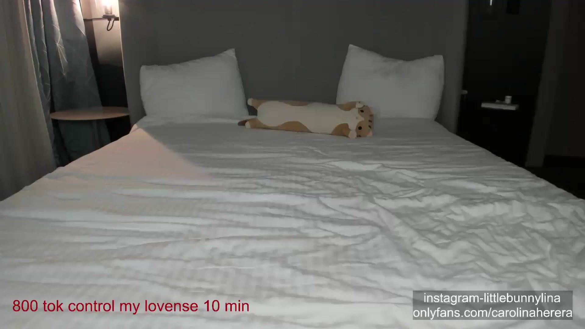 Gallery image thumbnail from CarolinaHerer's myfreecams stream on, 04/11/2024, 17:06 image 14 of 20