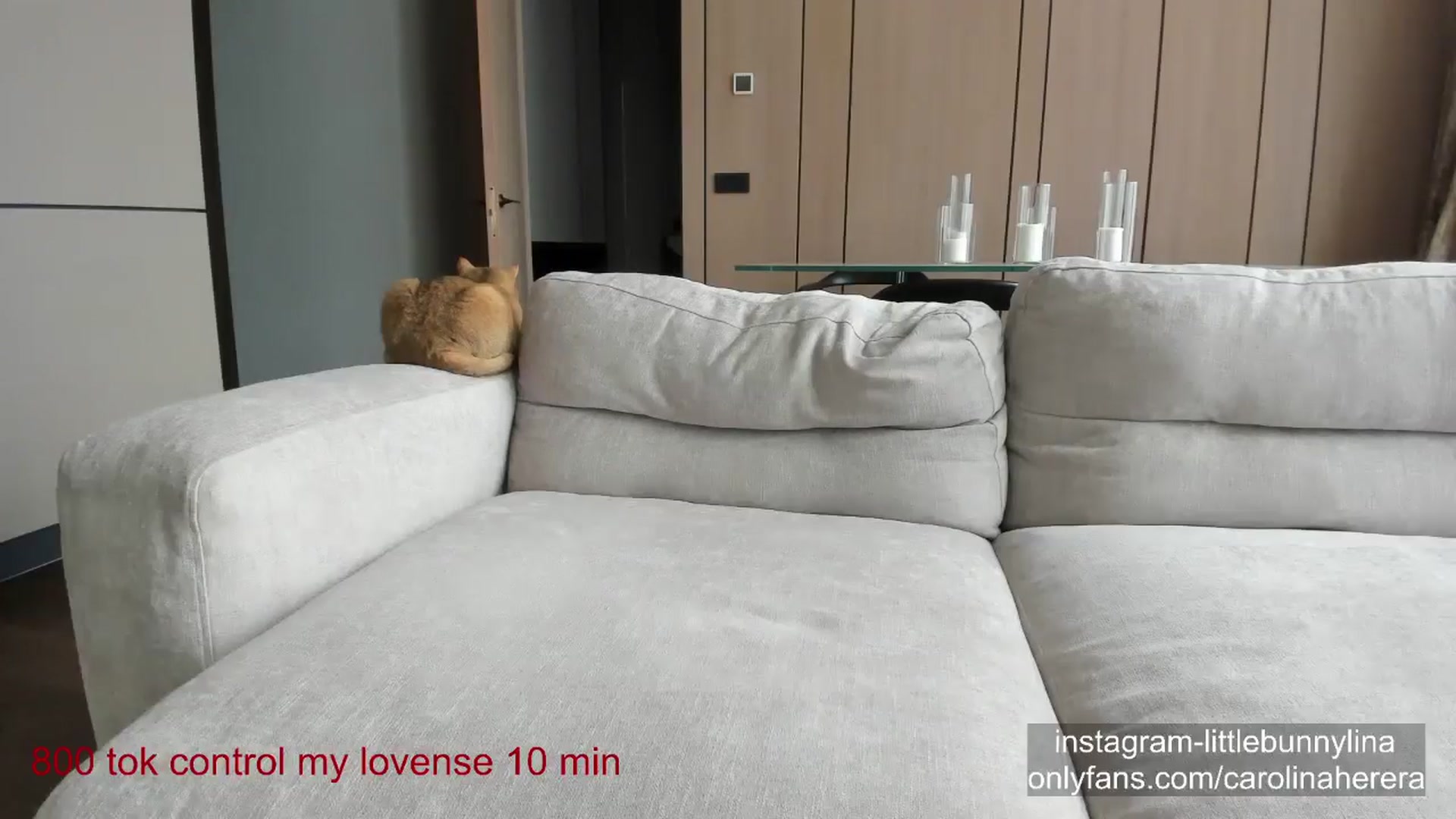 Gallery image thumbnail from CarolinaHerer's myfreecams stream on, 06/12/2024, 14:58 image 2 of 20