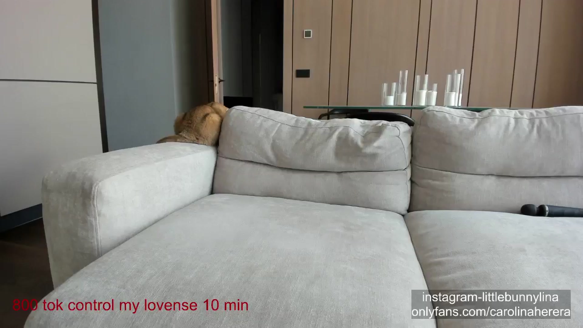 Gallery image thumbnail from CarolinaHerer's myfreecams stream on, 06/22/2024, 11:13 image 16 of 20