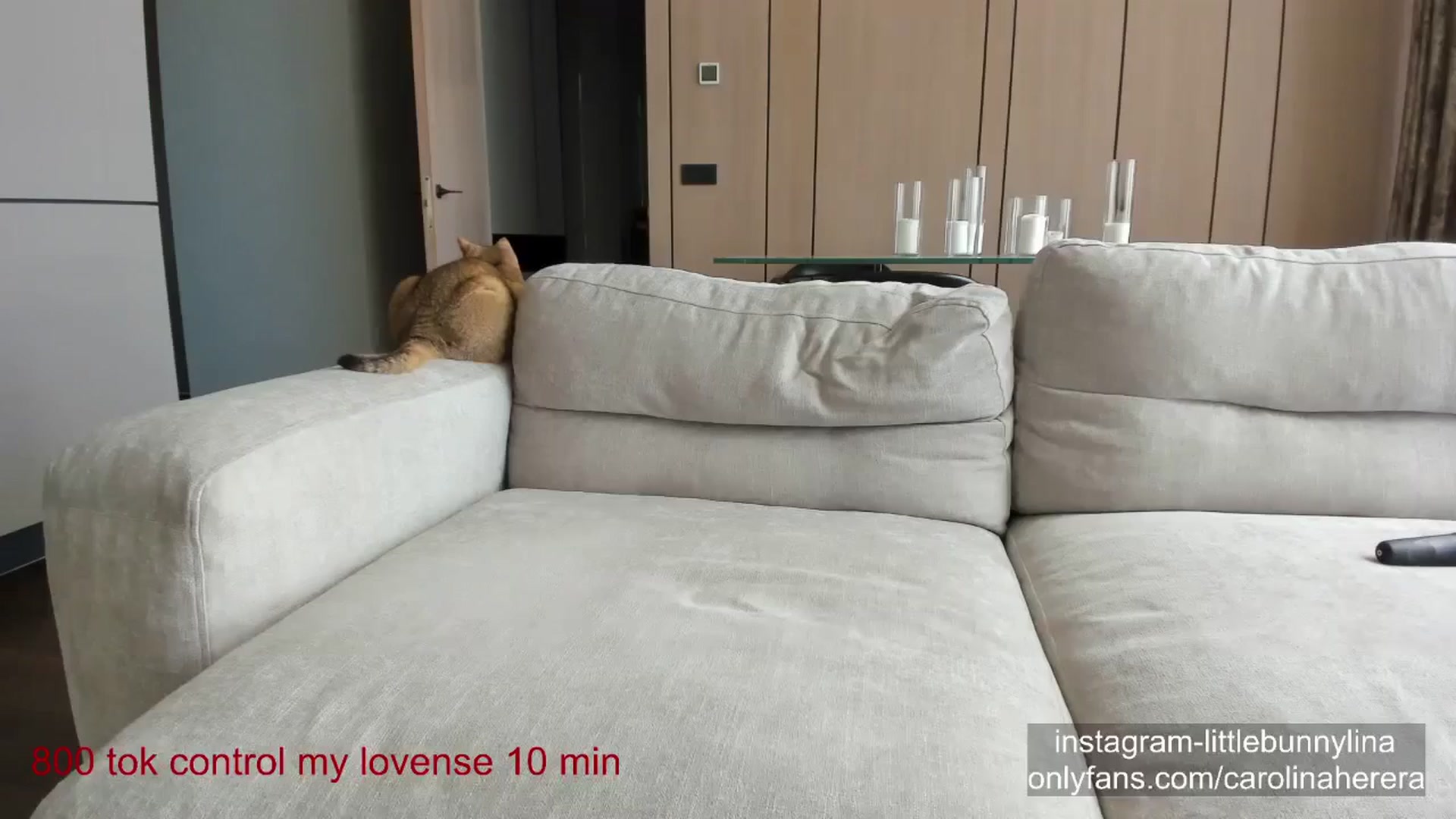 Gallery image thumbnail from CarolinaHerer's myfreecams stream on, 07/06/2024, 12:38 image 11 of 20