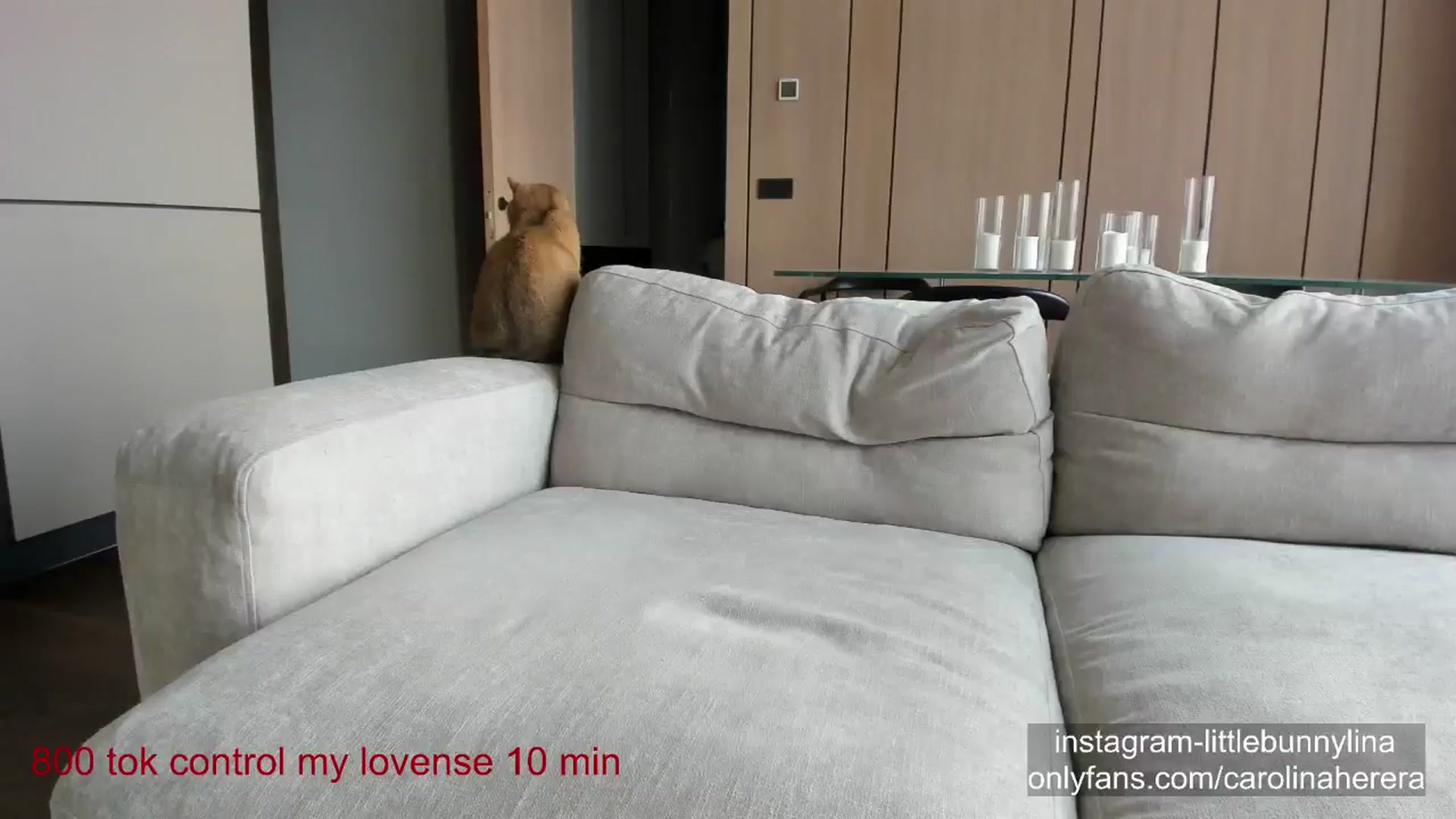 Gallery image thumbnail from CarolinaHerer's myfreecams stream on, 08/04/2024, 12:18 image 17 of 20