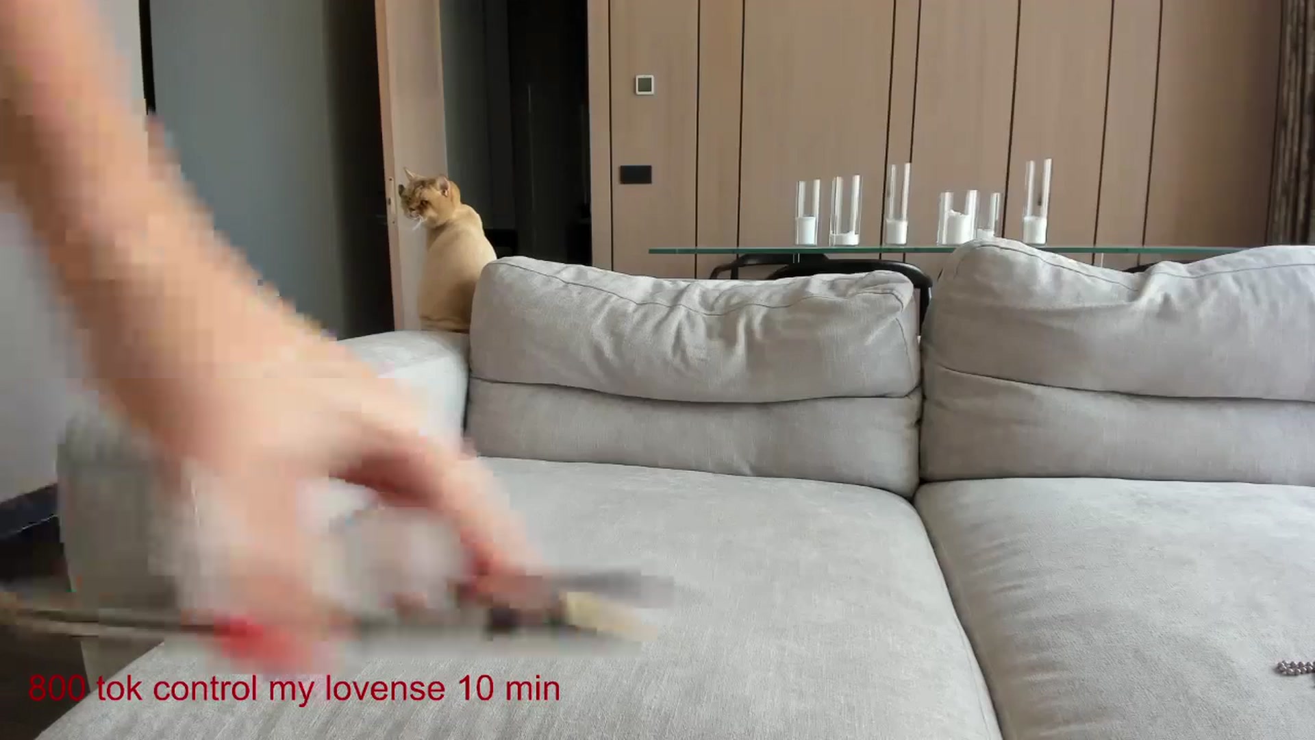 Gallery image thumbnail from CarolinaHerer's myfreecams stream on, 08/25/2024, 12:13 image 8 of 20
