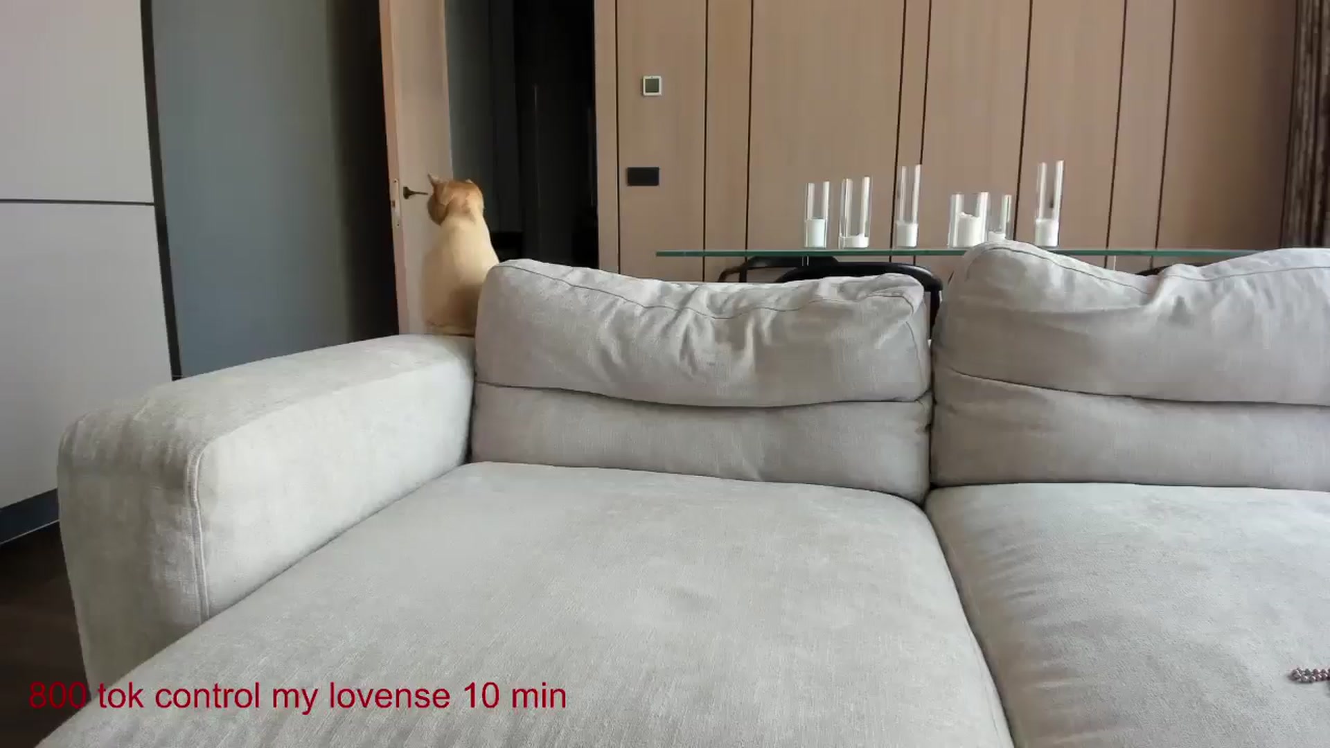 Gallery image thumbnail from CarolinaHerer's myfreecams stream on, 08/25/2024, 12:13 image 7 of 20
