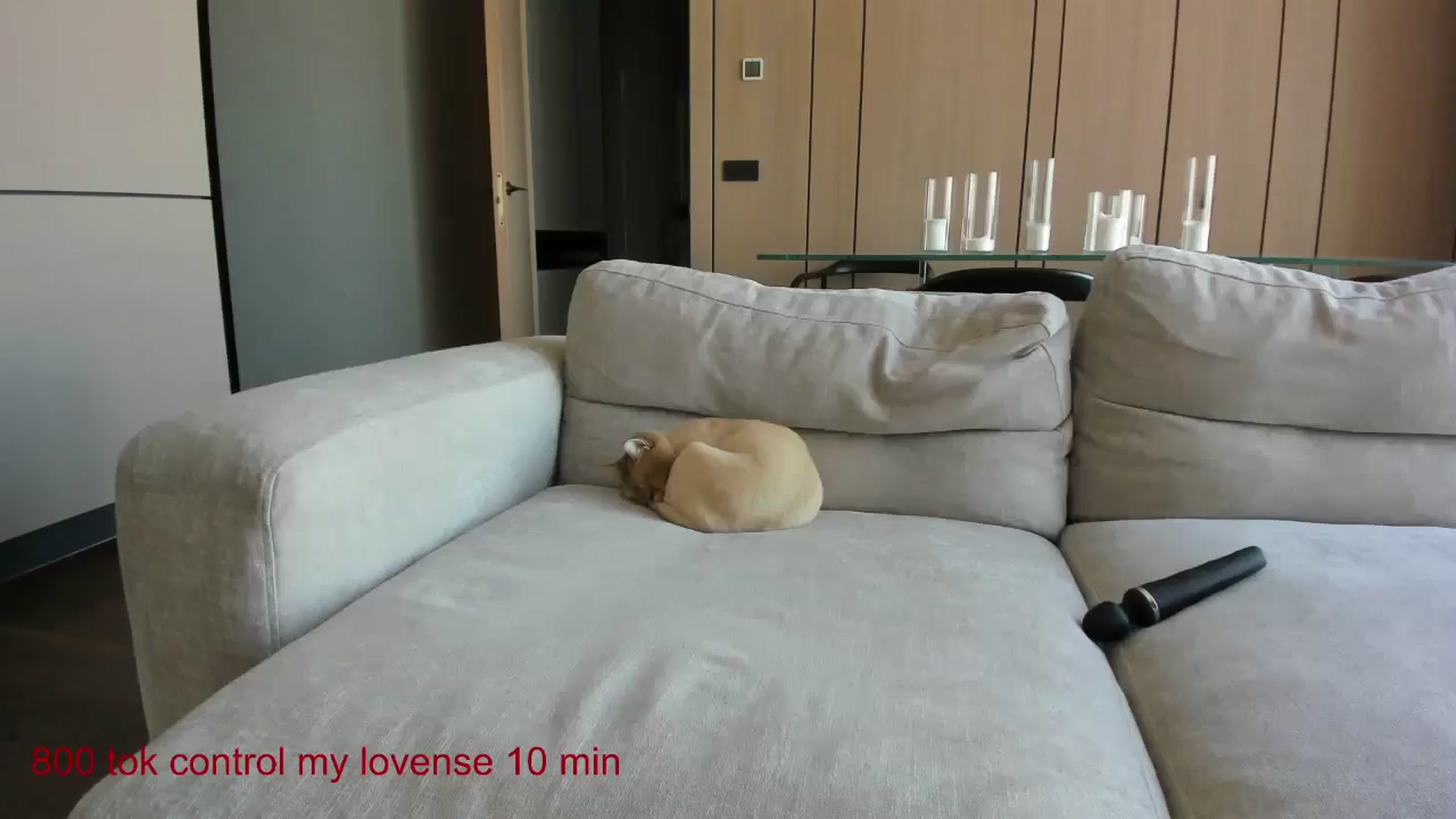 Gallery image thumbnail from CarolinaHerer's myfreecams stream on, 09/05/2024, 13:31 image 17 of 20